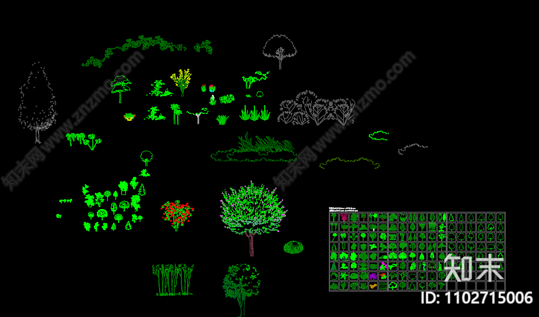 几十种植物立面图施工图下载【ID:1102715006】