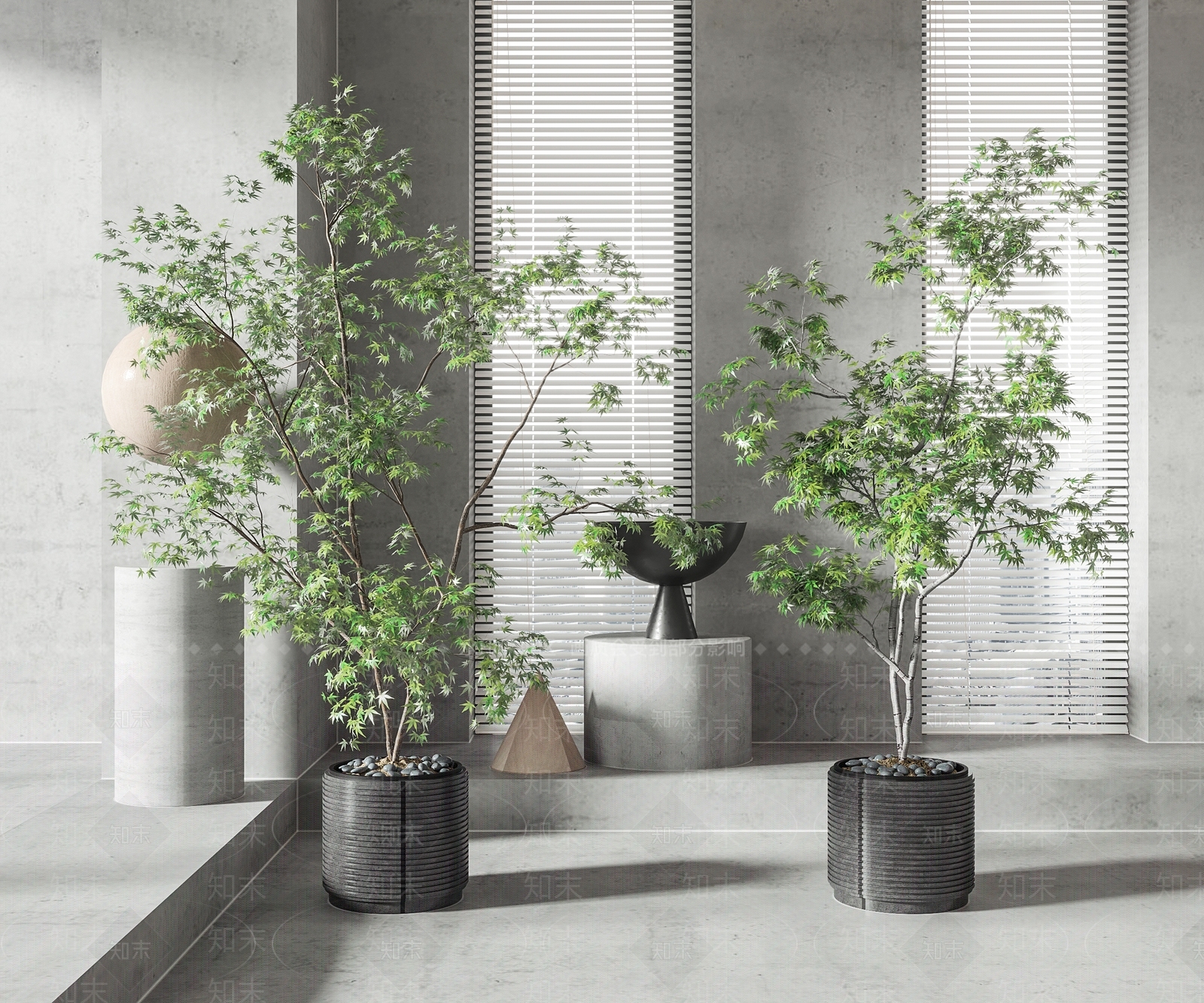 现代植物盆栽组合3D模型下载【ID:1103214323】_知末3d模型网