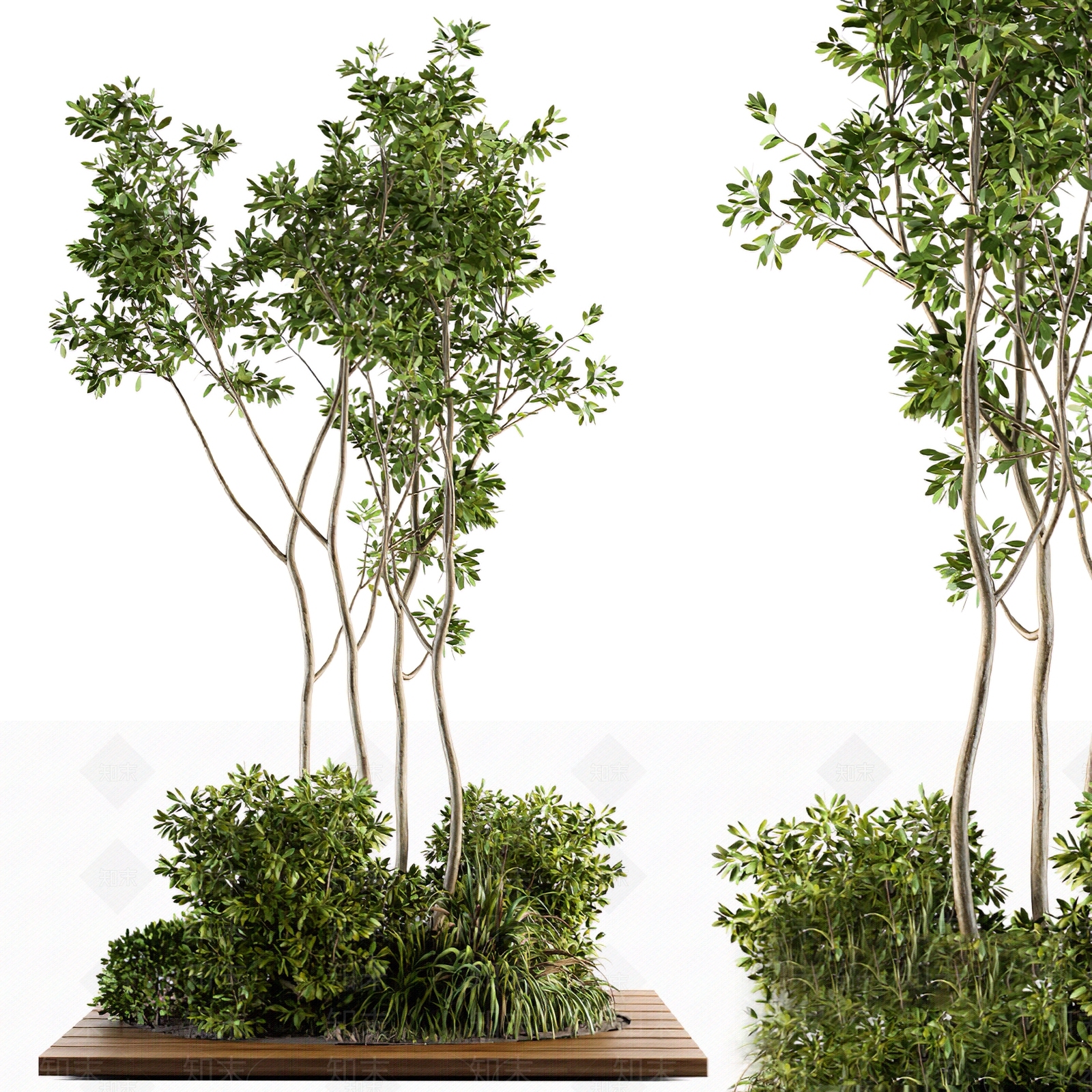 现代树木SU模型下载【ID:1103238076】