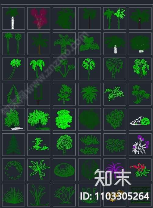 园林景观植物立面图施工图下载【ID:1103305264】