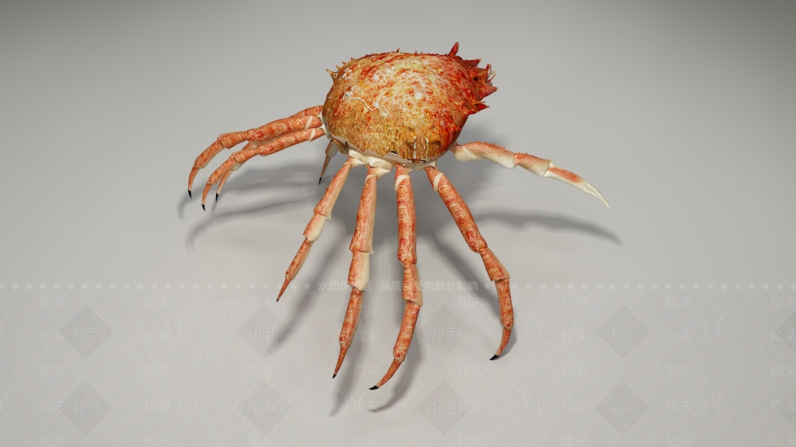 螃蟹3D模型下载【ID:1103311582】