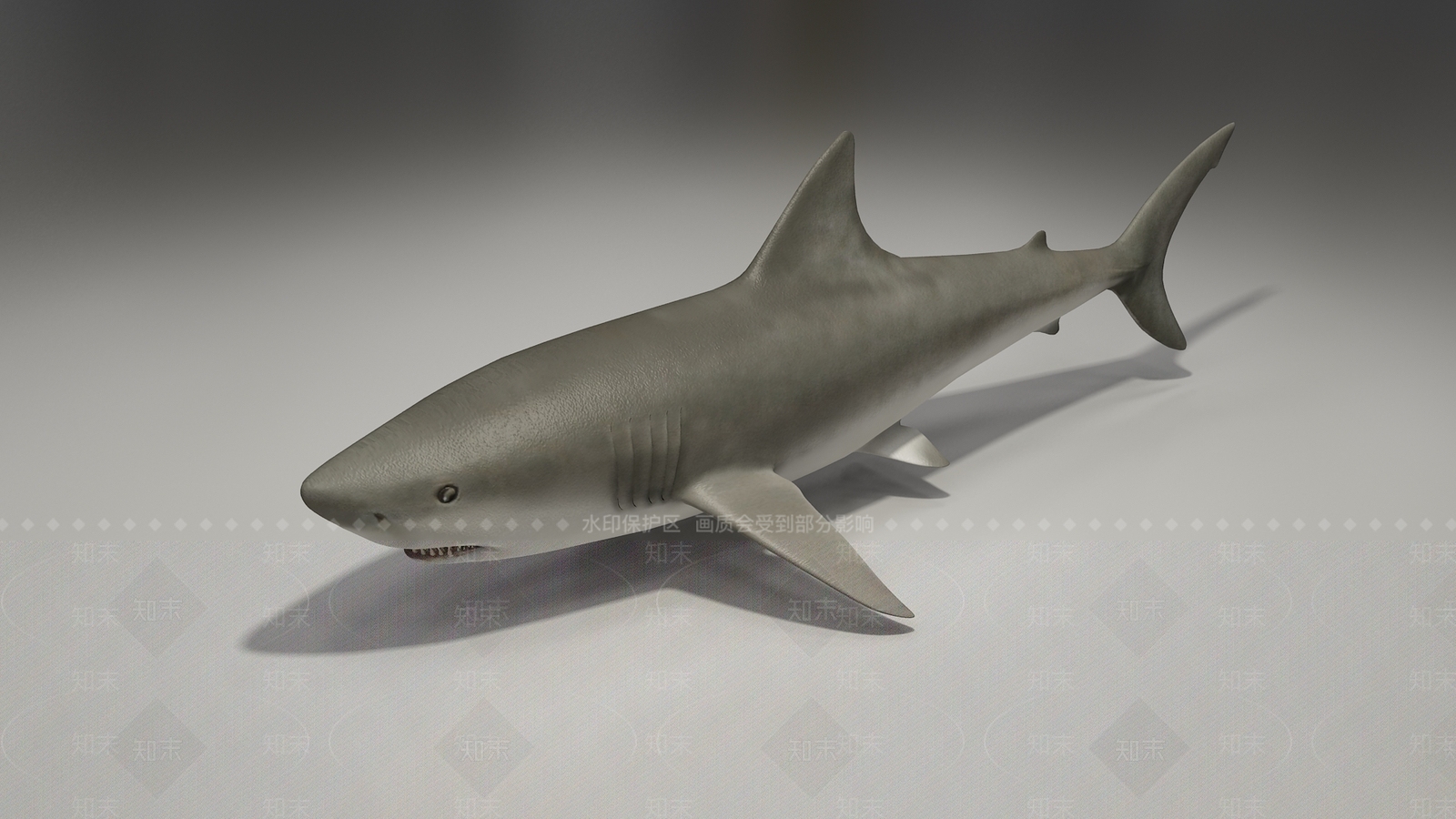 鲨鱼3D模型下载【ID:1103311616】