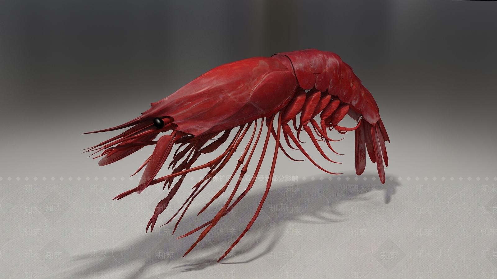 龙虾3D模型下载【ID:1103311909】