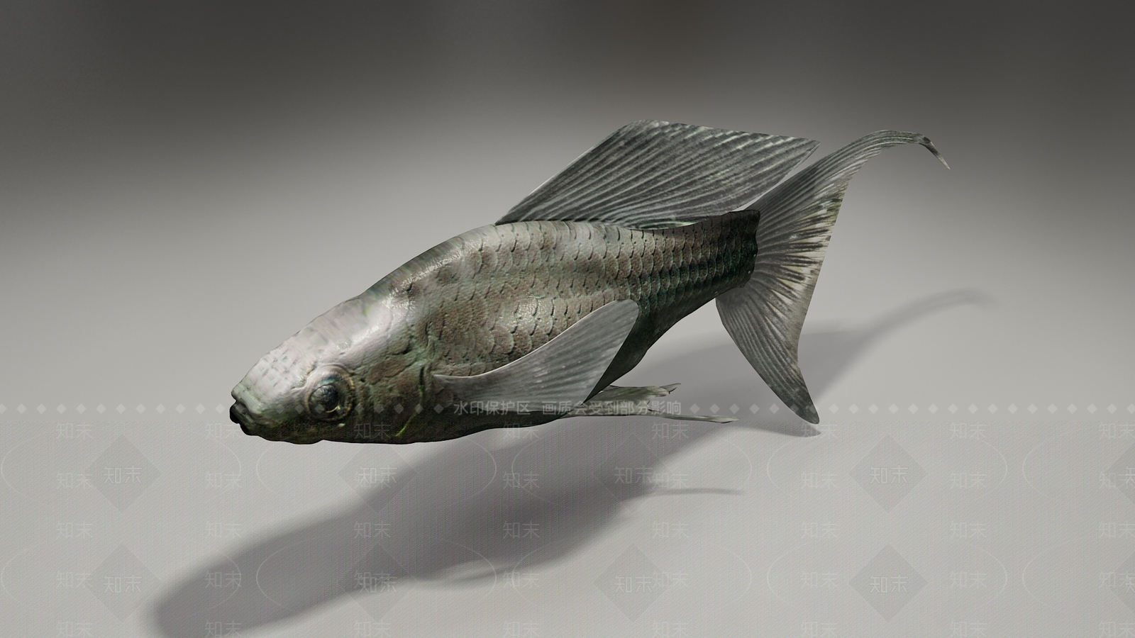 水生类动物3D模型下载【ID:1103312178】