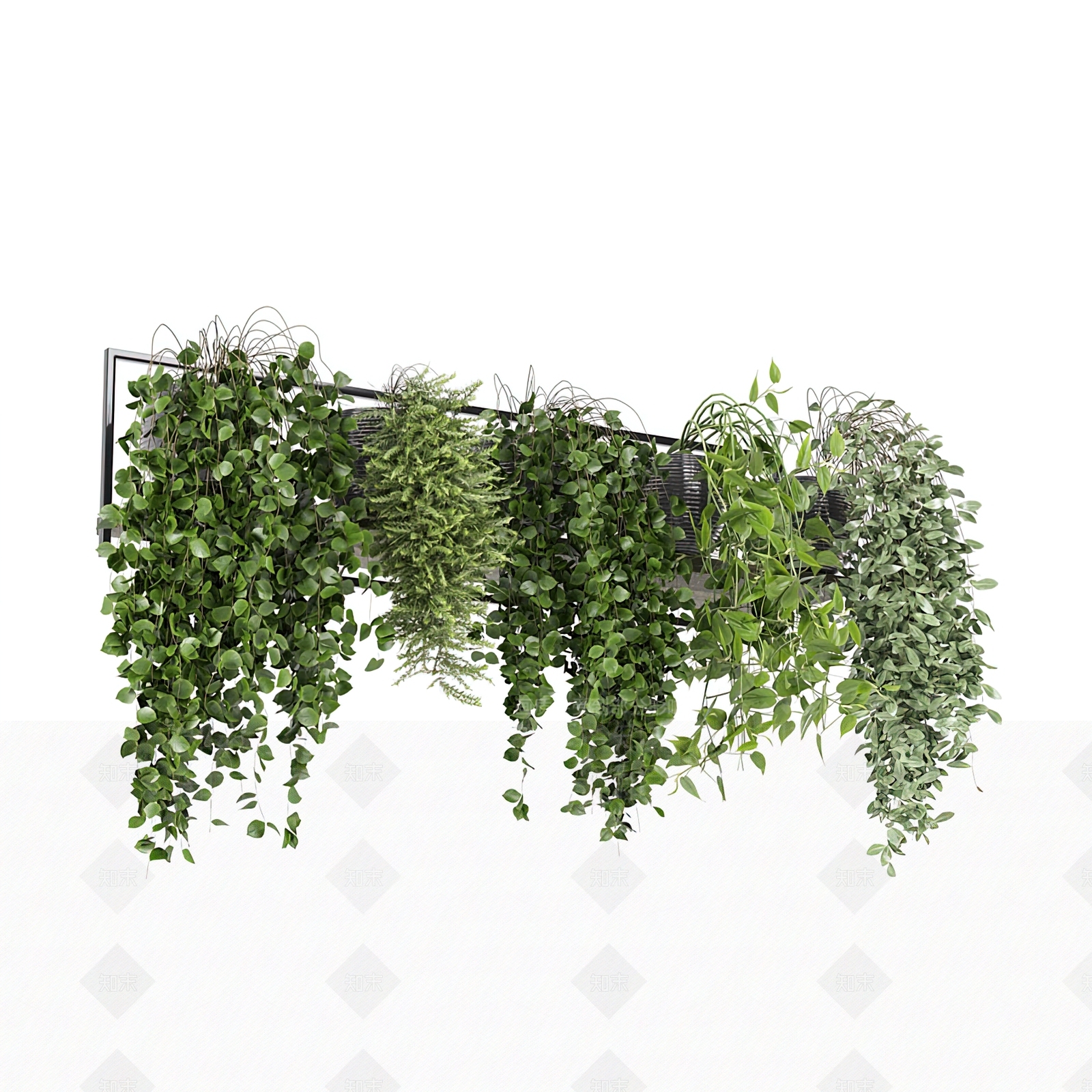 现代绿植盆栽3D模型下载【ID:1103327658】