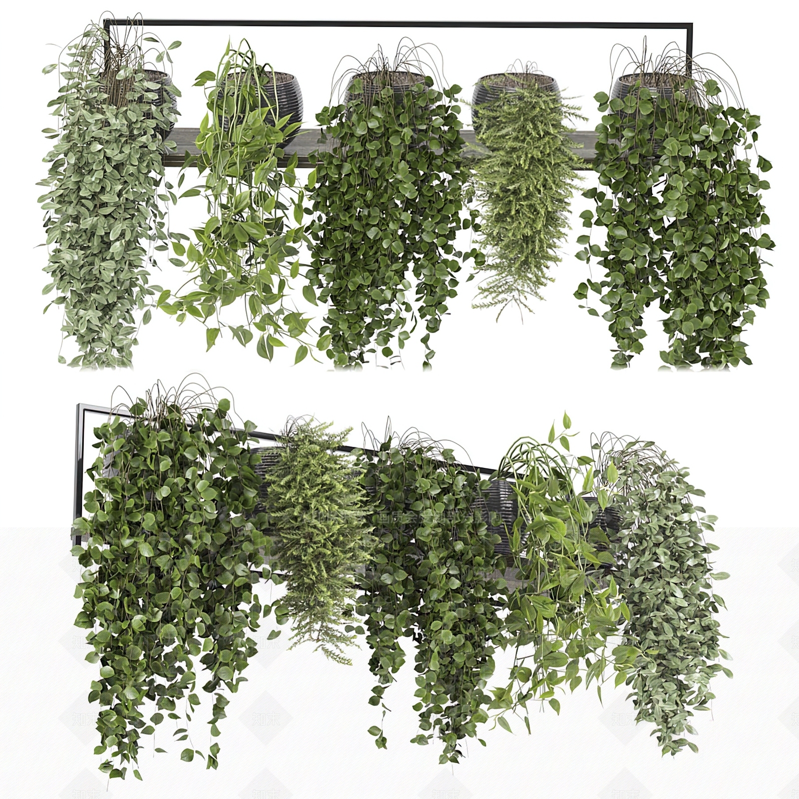 现代绿植盆栽3D模型下载【ID:1103327658】