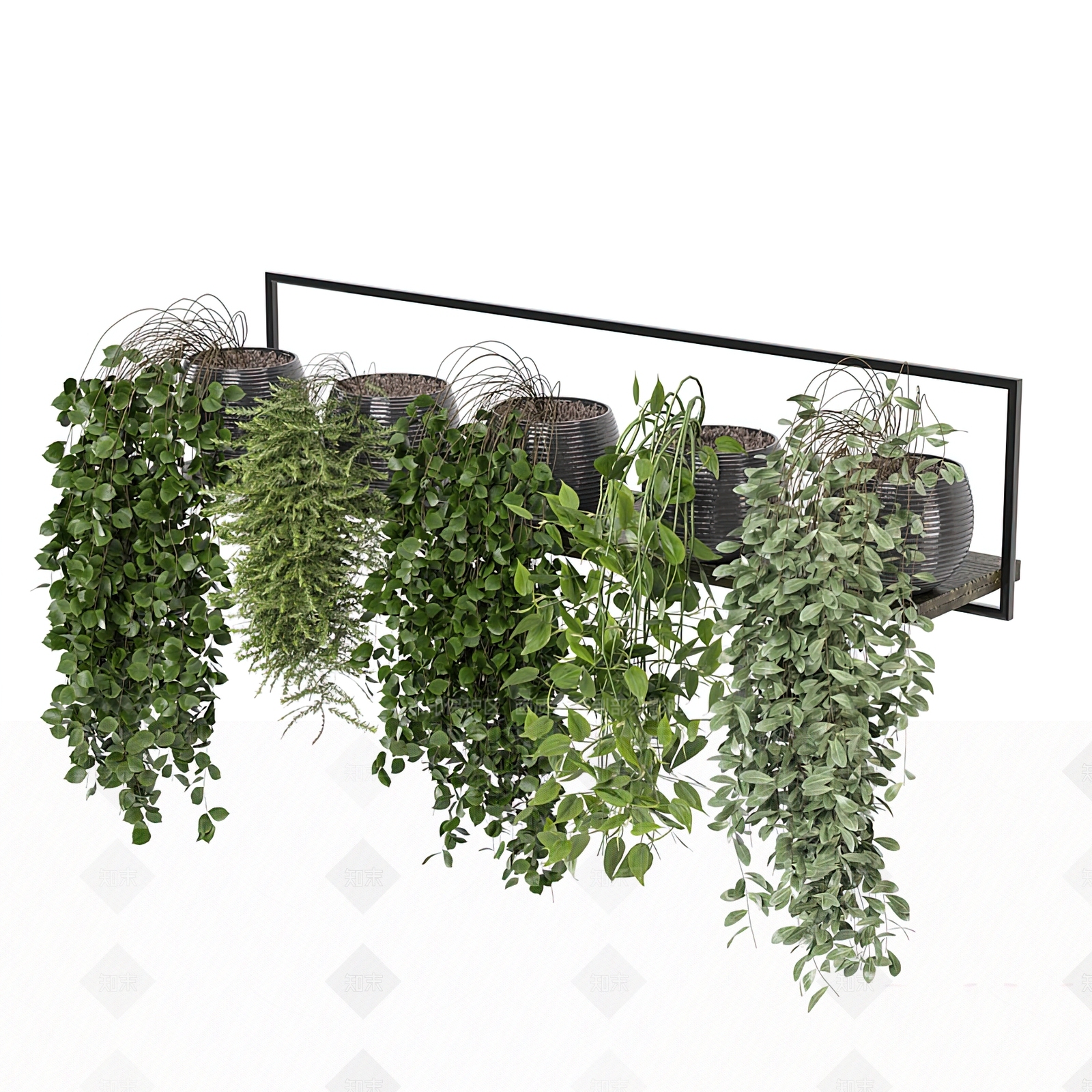 现代绿植盆栽3D模型下载【ID:1103327658】