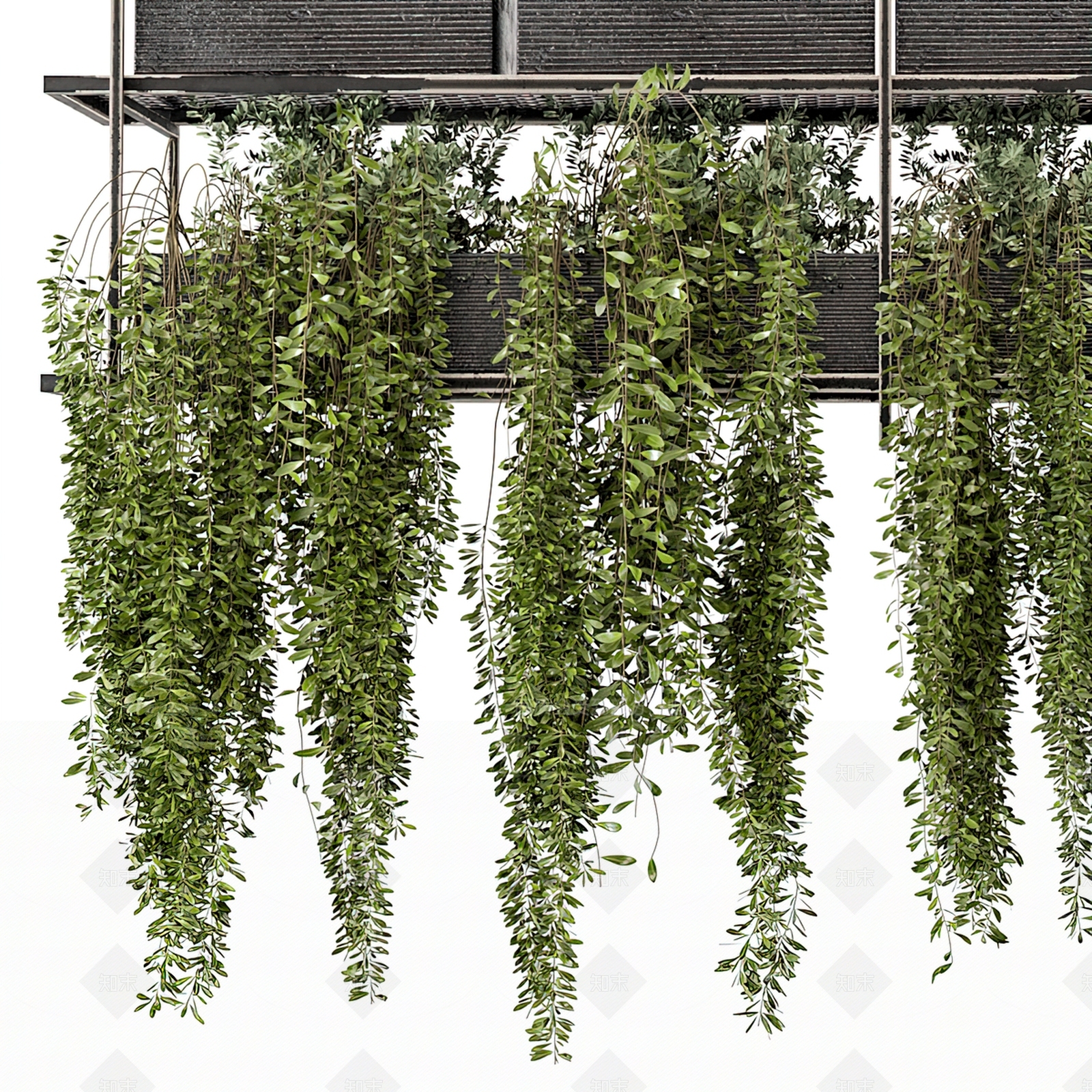 现代绿植盆栽3D模型下载【ID:1103327721】