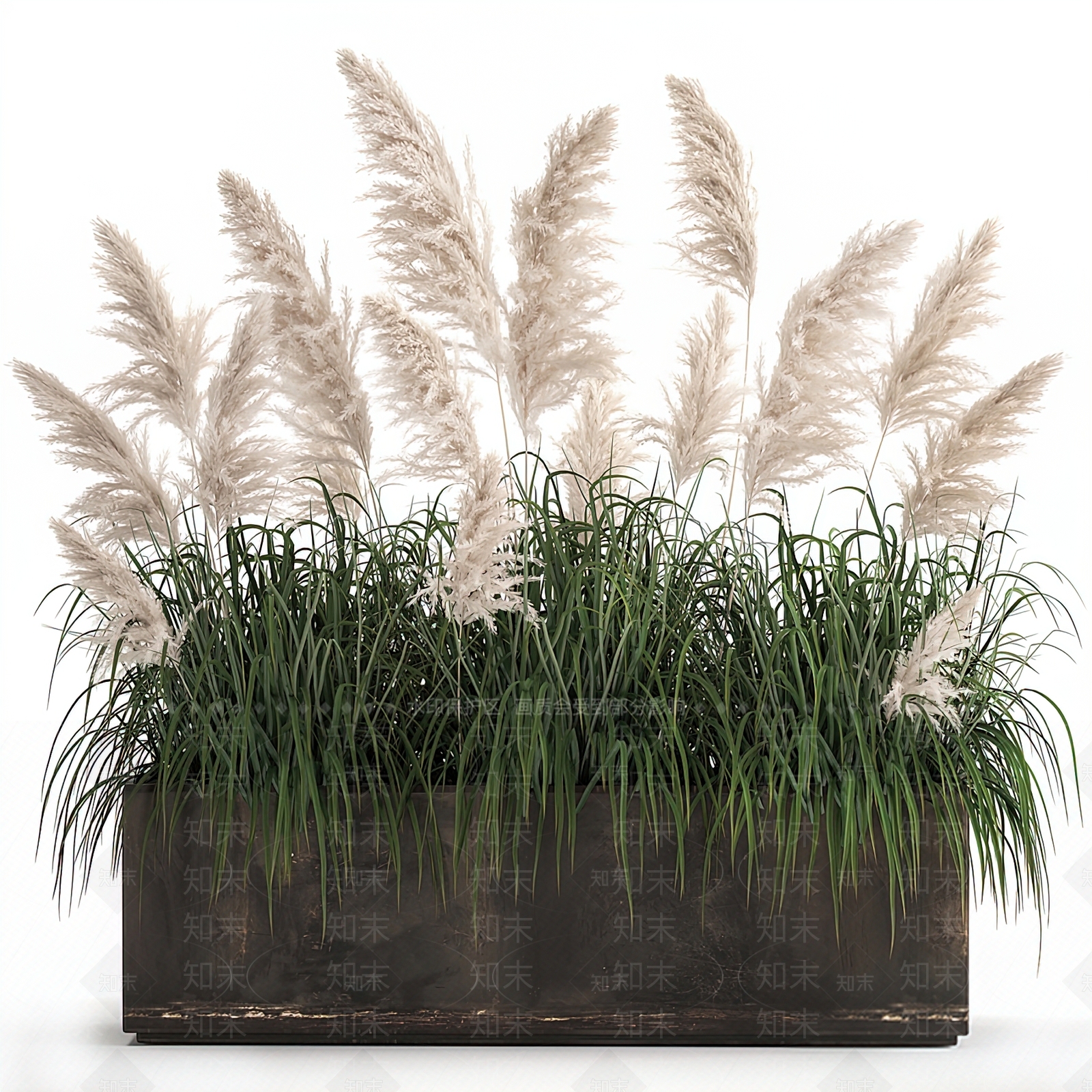 现代狗尾巴花钵3D模型下载【ID:1103503180】
