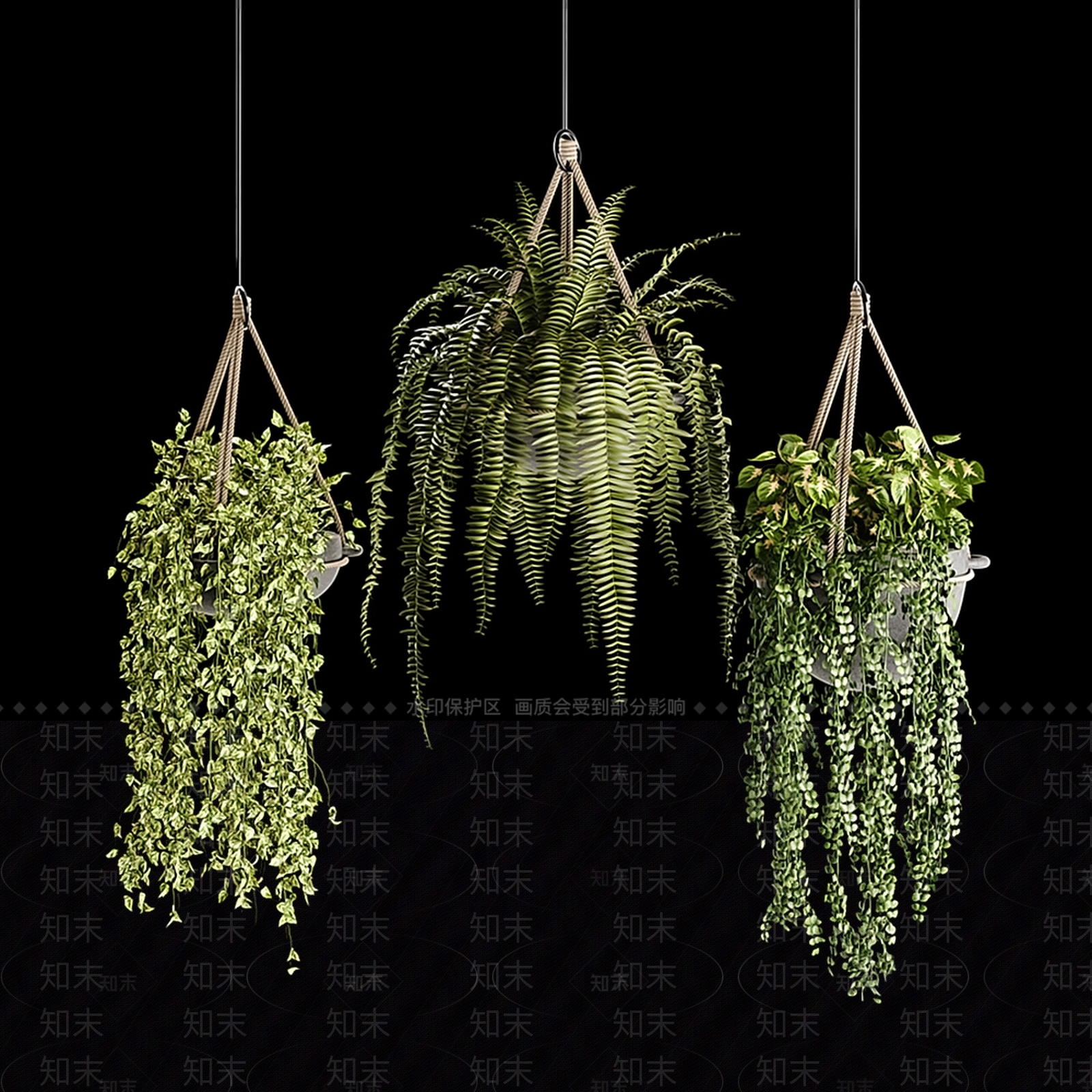 现代绿植吊篮3D模型下载【ID:1103503381】