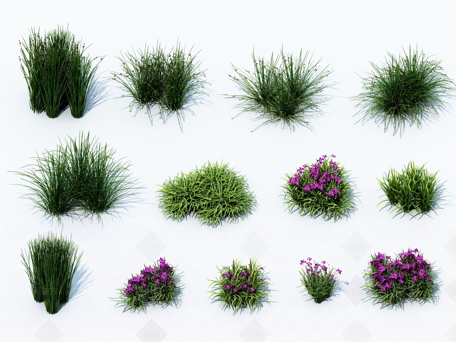 现代草花组合3D模型下载【ID:1103624270】
