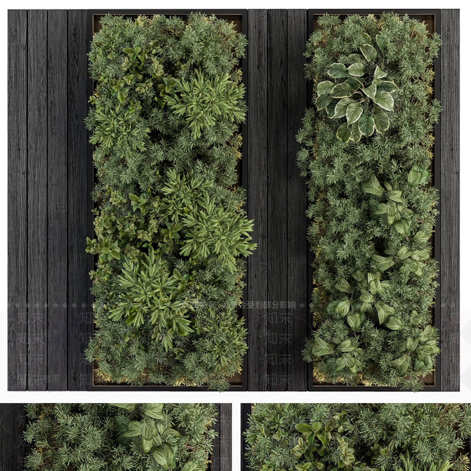 现代绿植墙3D模型下载【ID:1104115497】