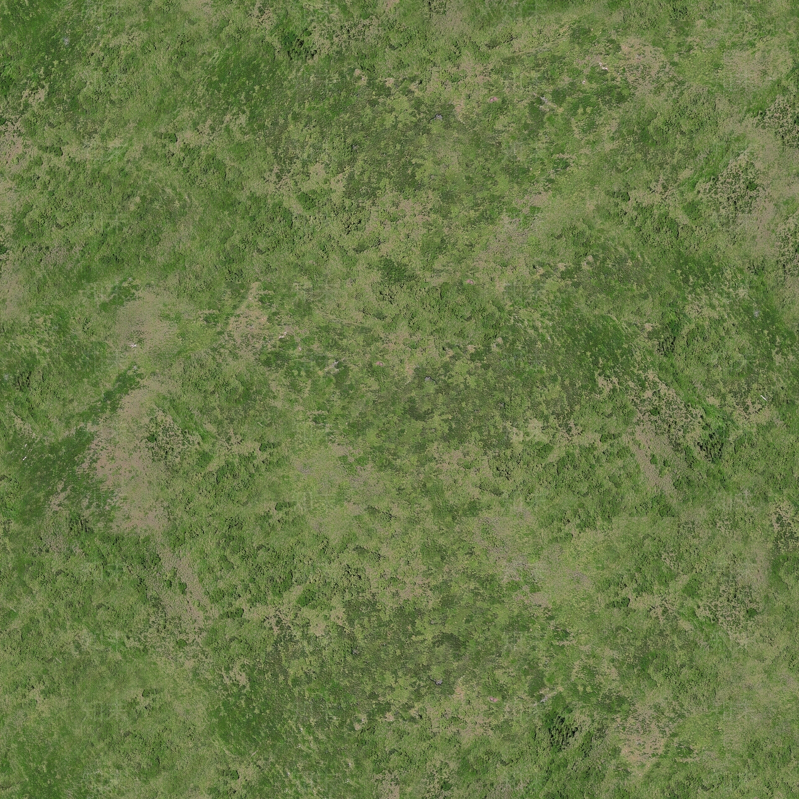 无缝贴图草地贴图户外贴图下载【ID:1103793911】