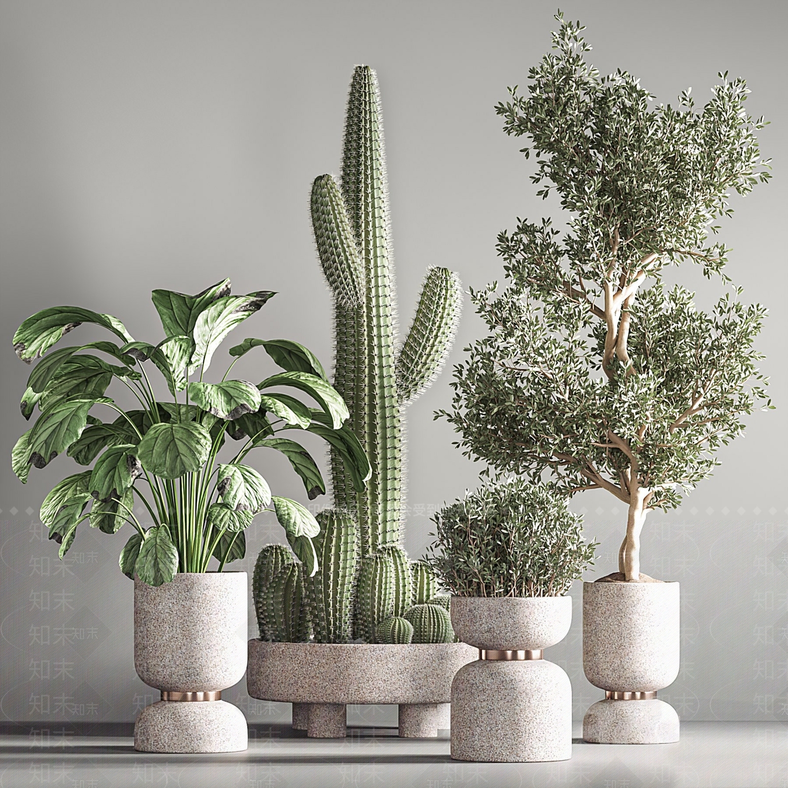 现代绿植盆栽3D模型下载【ID:1103799714】_知末3d模型网