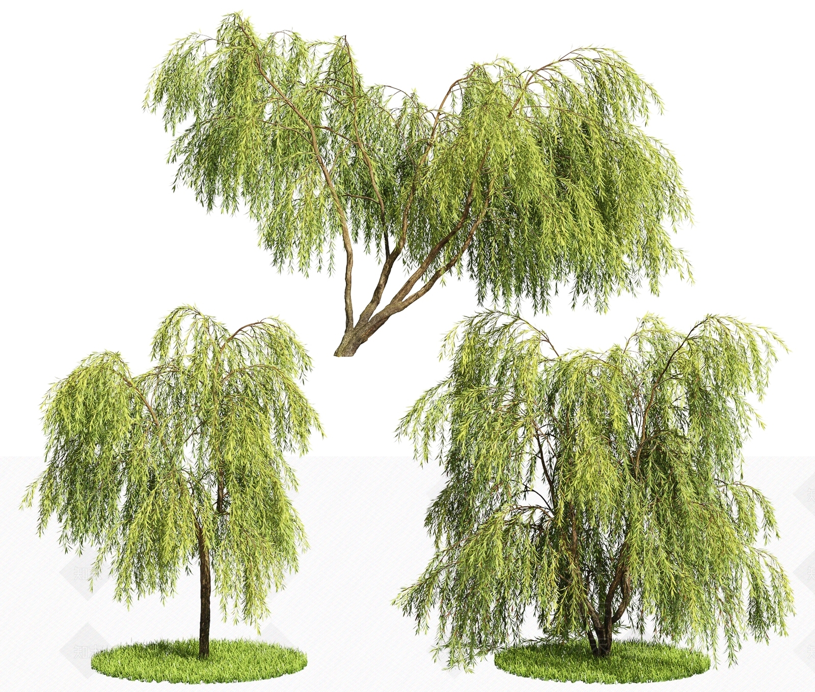 现代柳树3D模型下载【ID:1103880068】