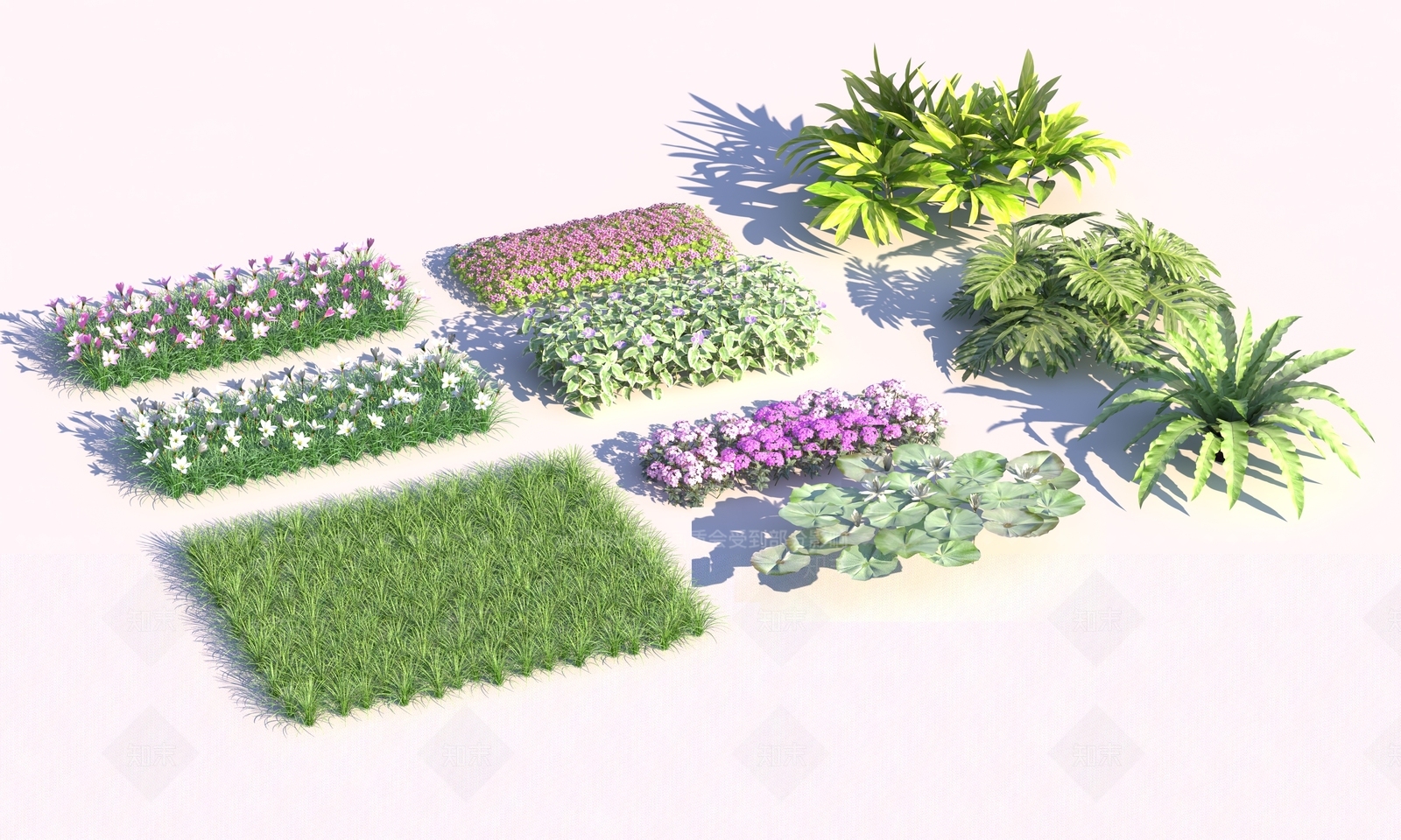 现代花草3D模型下载【ID:1104178997】