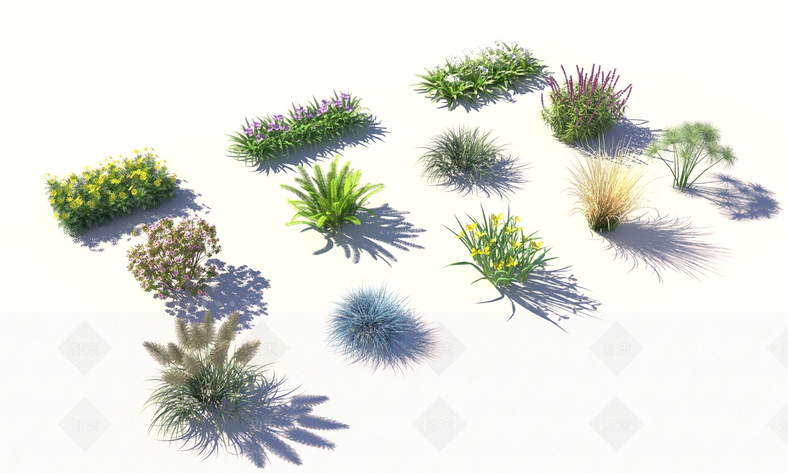 现代花草3D模型下载【ID:1104179196】
