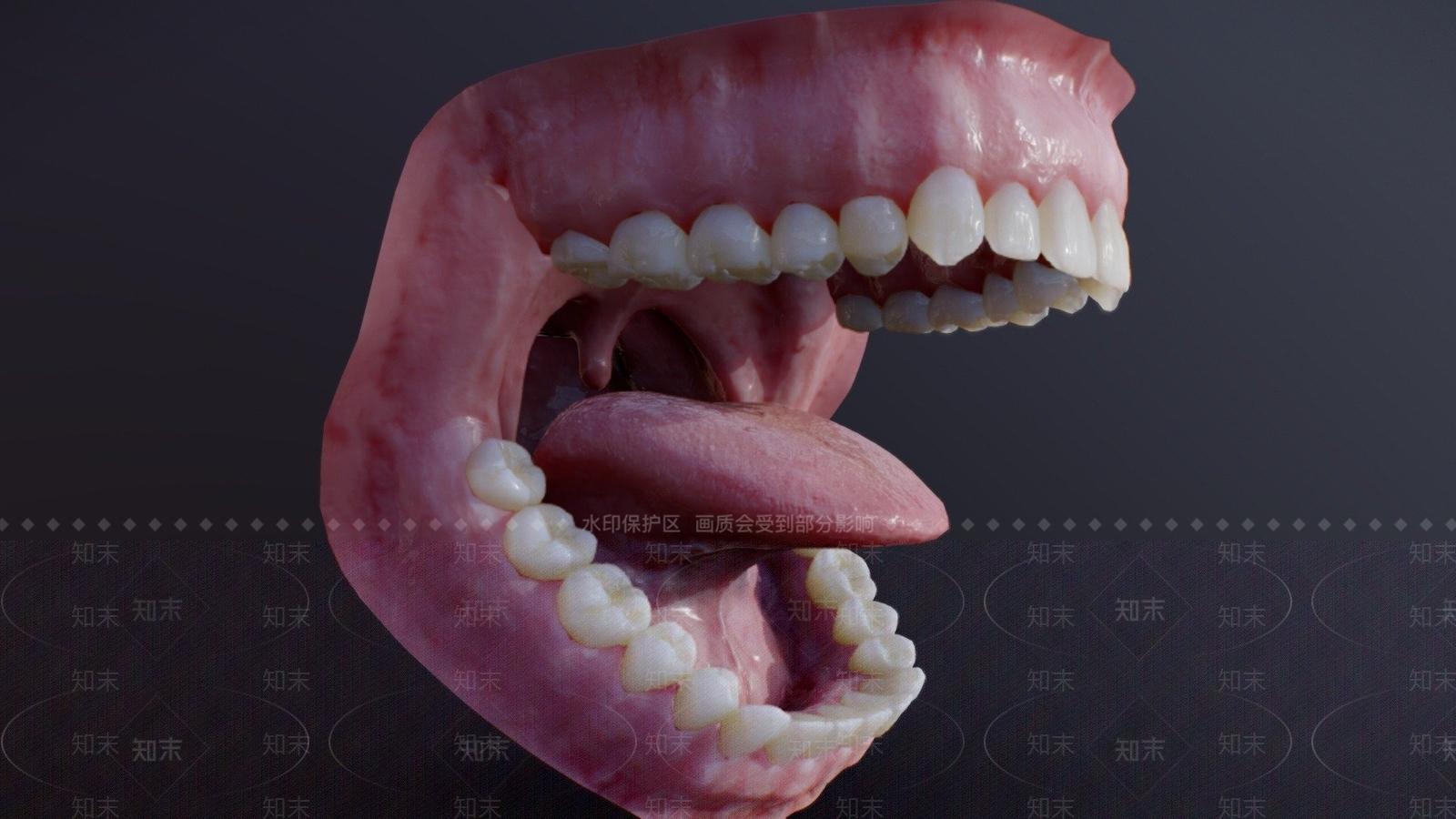 嘴巴3D模型下载【ID:1104213721】