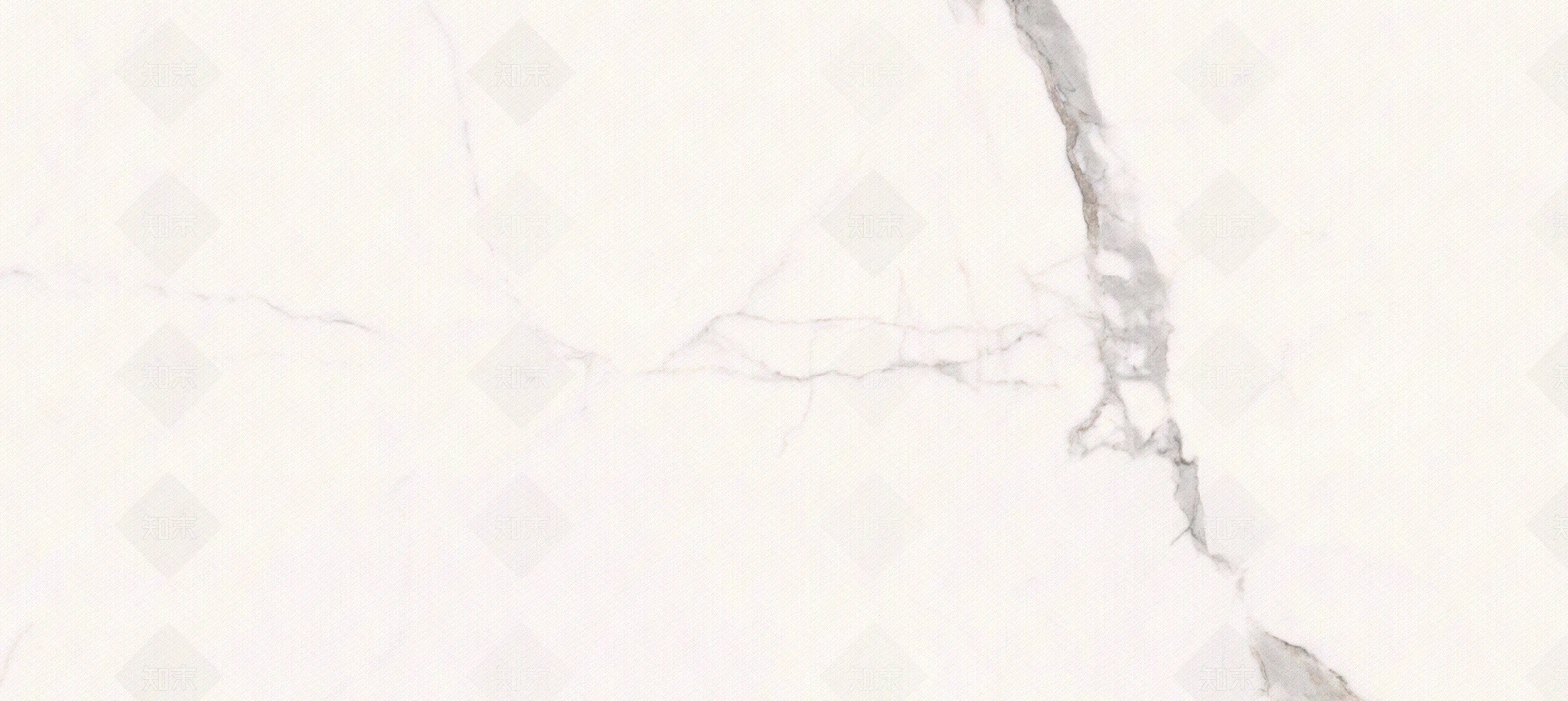 道格拉斯贴图下载【ID:1104217032】