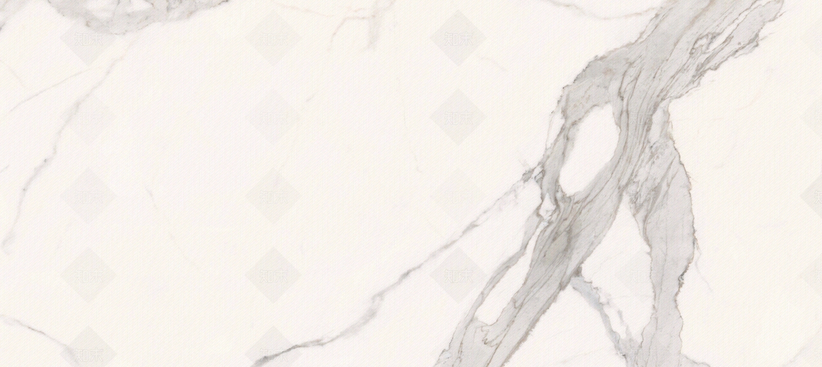 道格拉斯贴图下载【ID:1104217670】