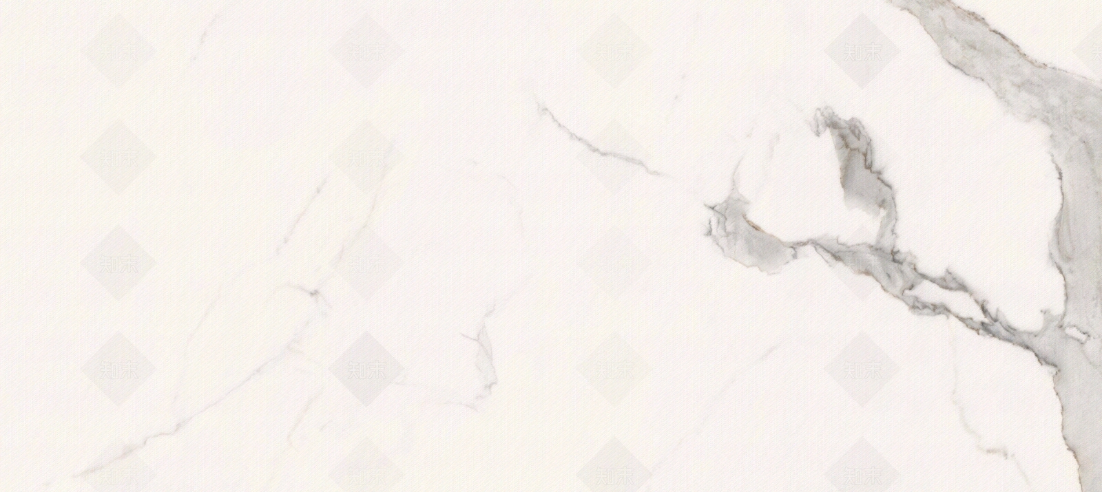 道格拉斯贴图下载【ID:1104217840】