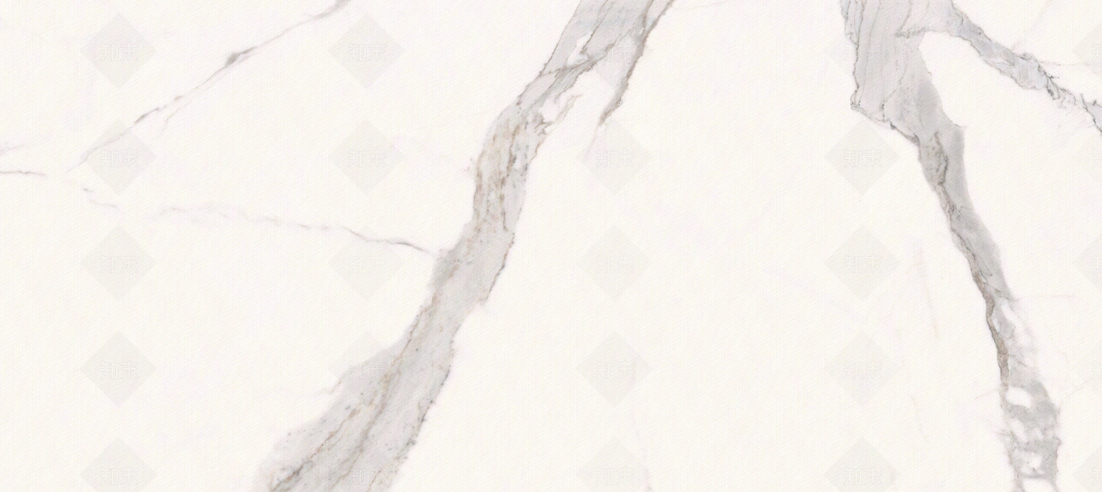 道格拉斯贴图下载【ID:1104217857】