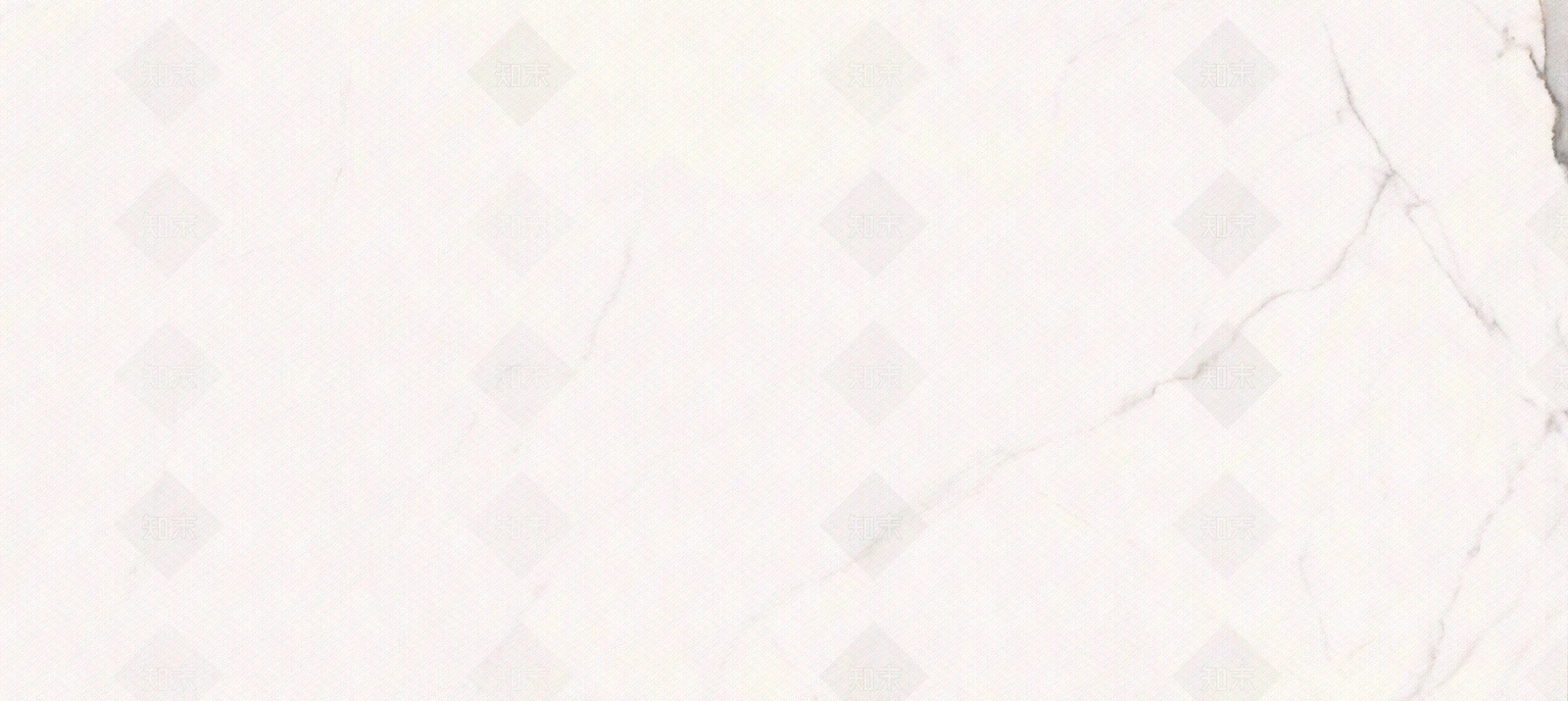 道格拉斯贴图下载【ID:1104217968】