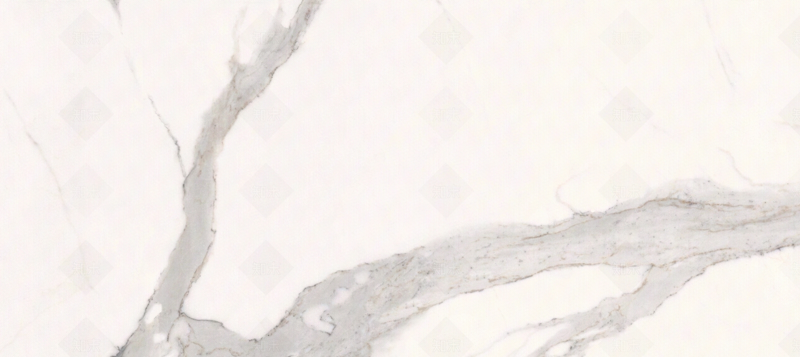 道格拉斯贴图下载【ID:1104218098】