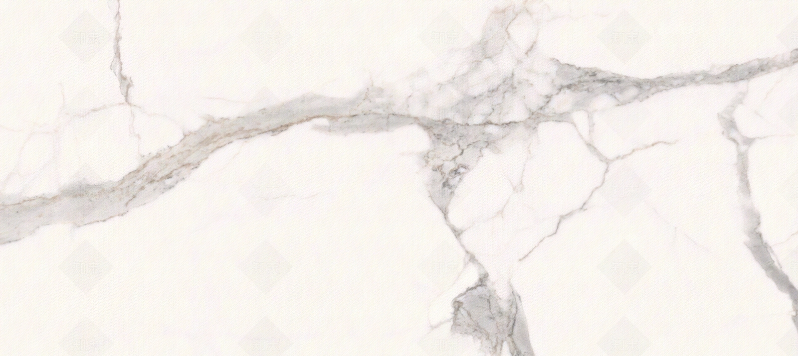 道格拉斯贴图下载【ID:1104218135】