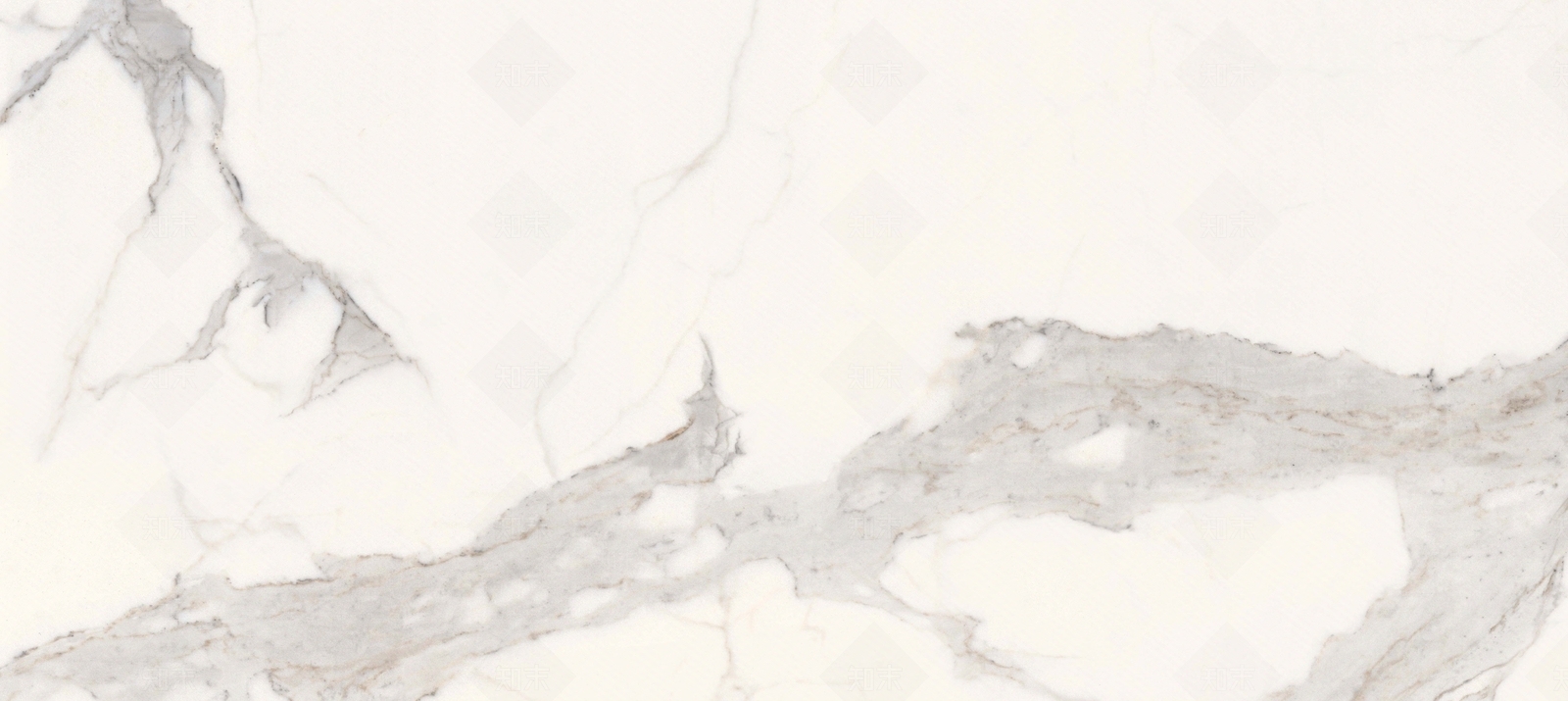 道格拉斯贴图下载【ID:1104218148】