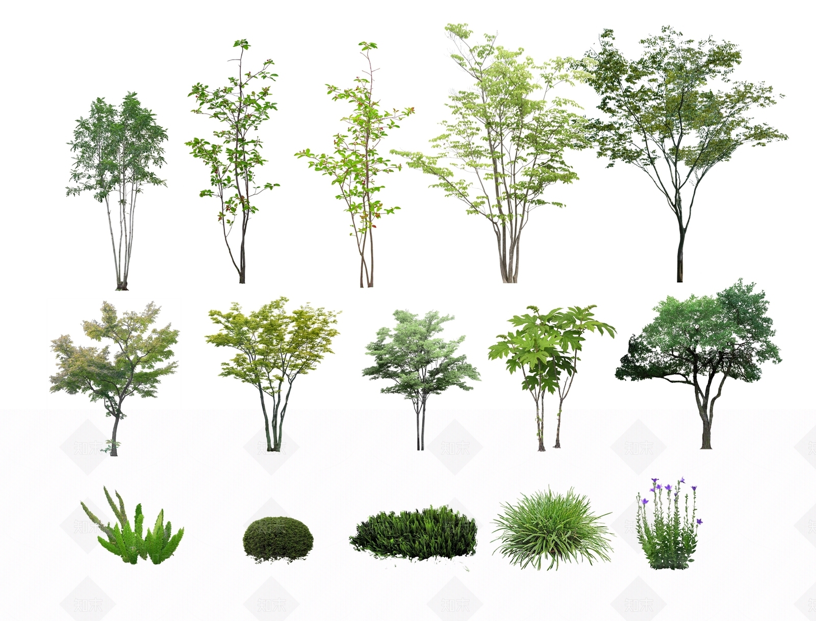 现代2D树木SU模型下载【ID:1104261915】