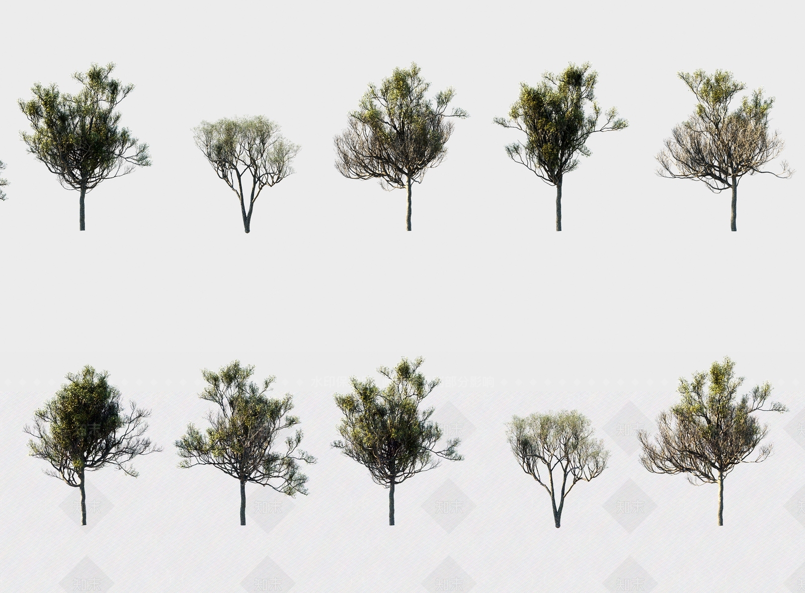 现代乔木3D模型下载【ID:1104413450】