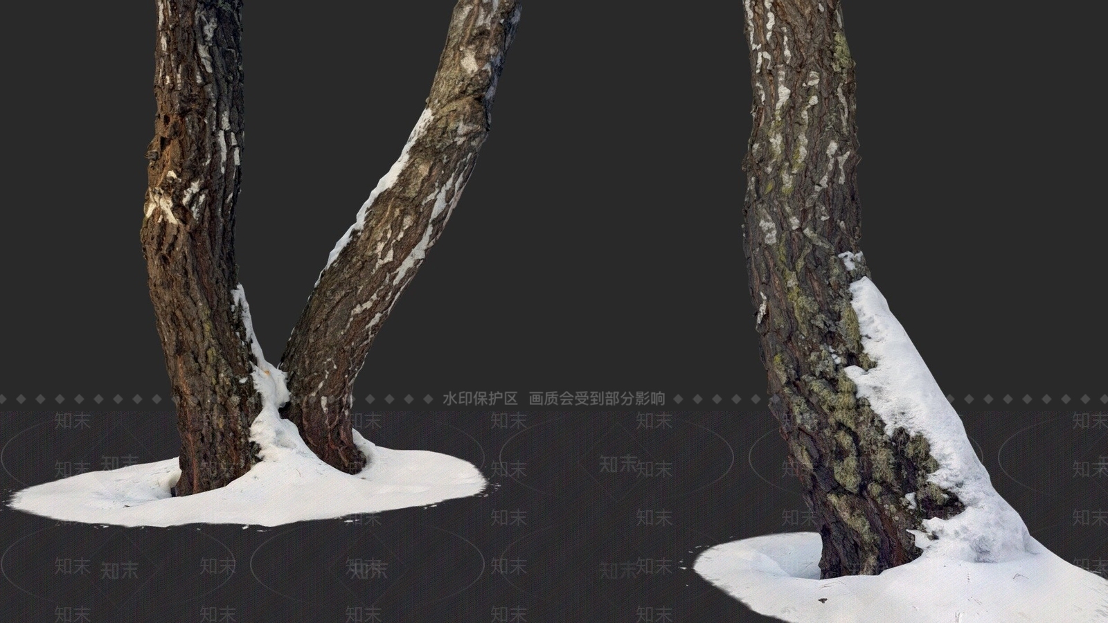 现代带雪的桦木树干3D模型下载【ID:1104418617】