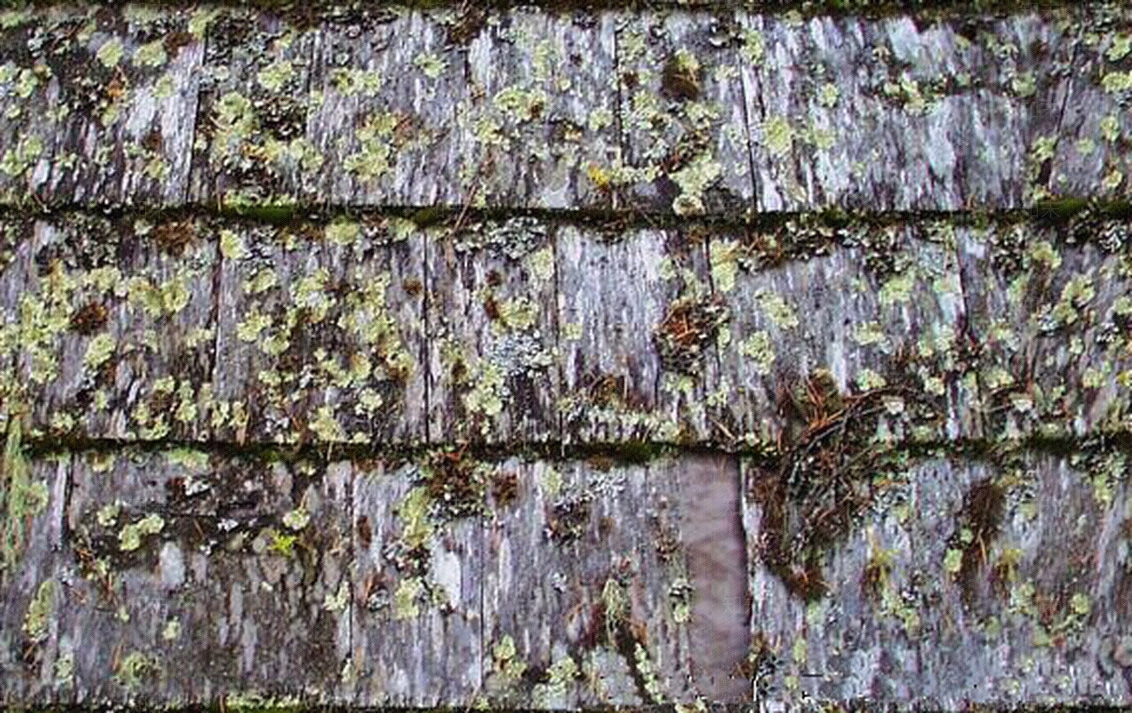 树皮屋顶贴图下载【ID:1104491354】