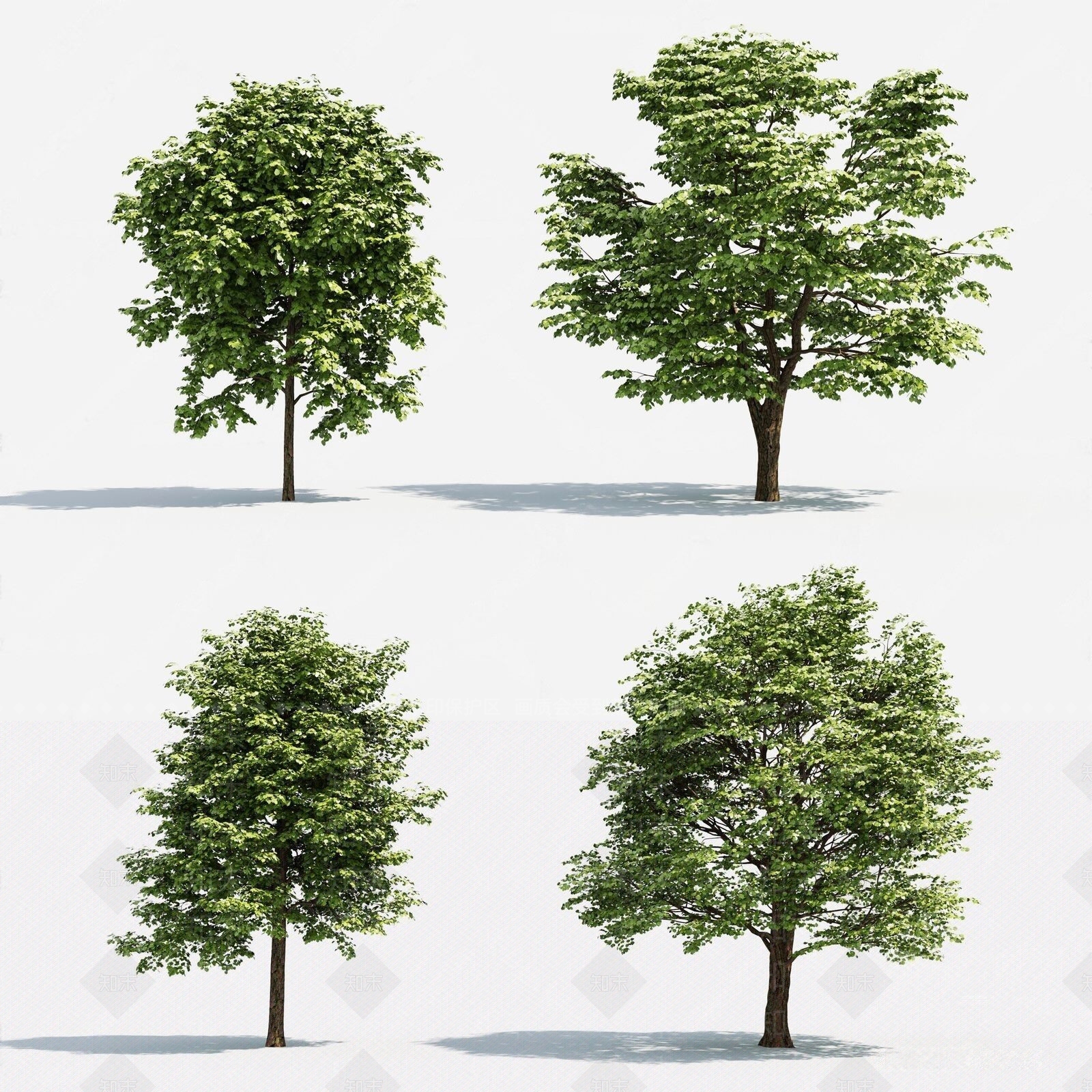 现代乔木3D模型下载【ID:1104519189】