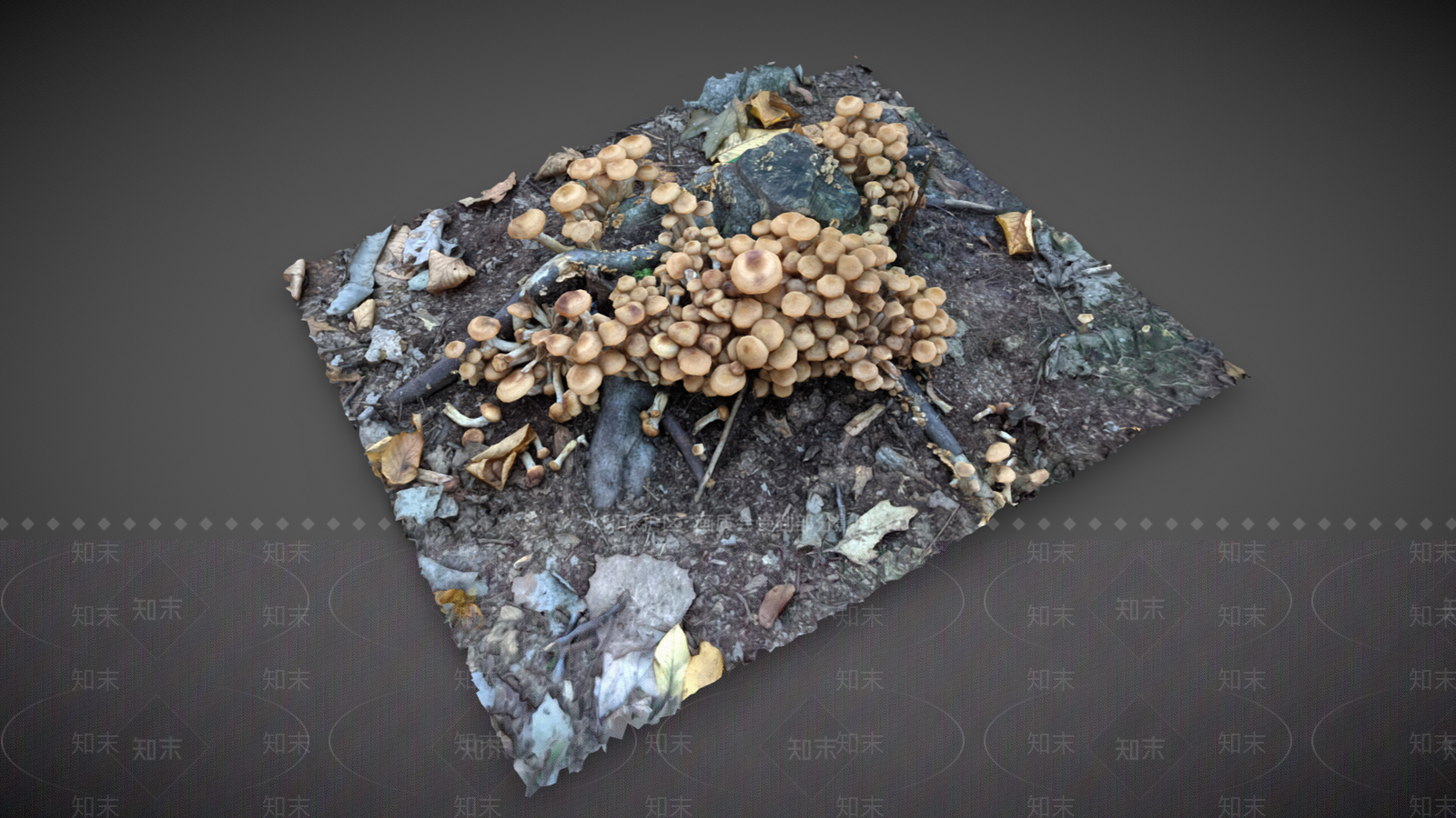 现代蘑菇3D模型下载【ID:1104539044】