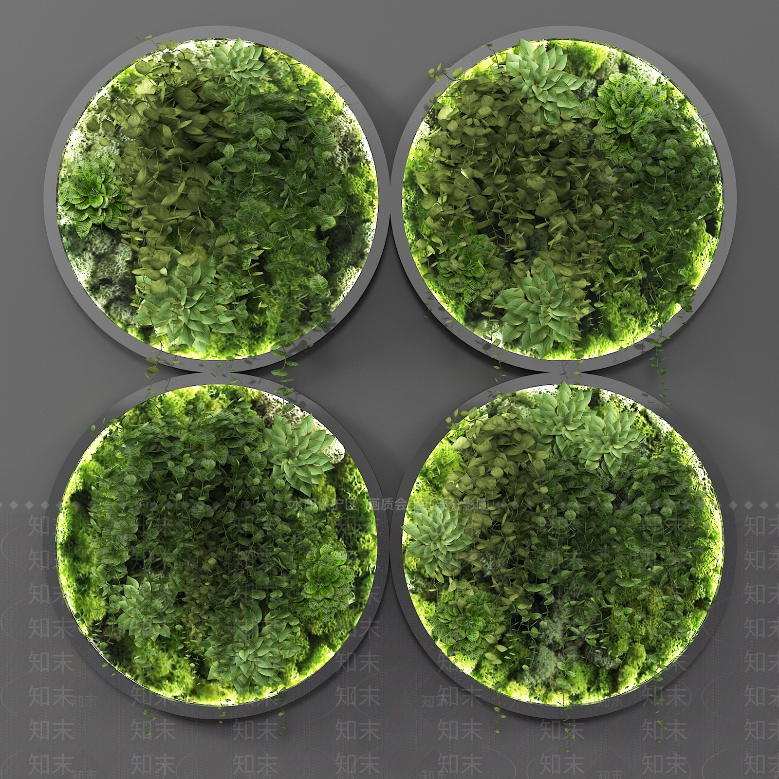 现代植物墙3D模型下载【ID:1104578764】