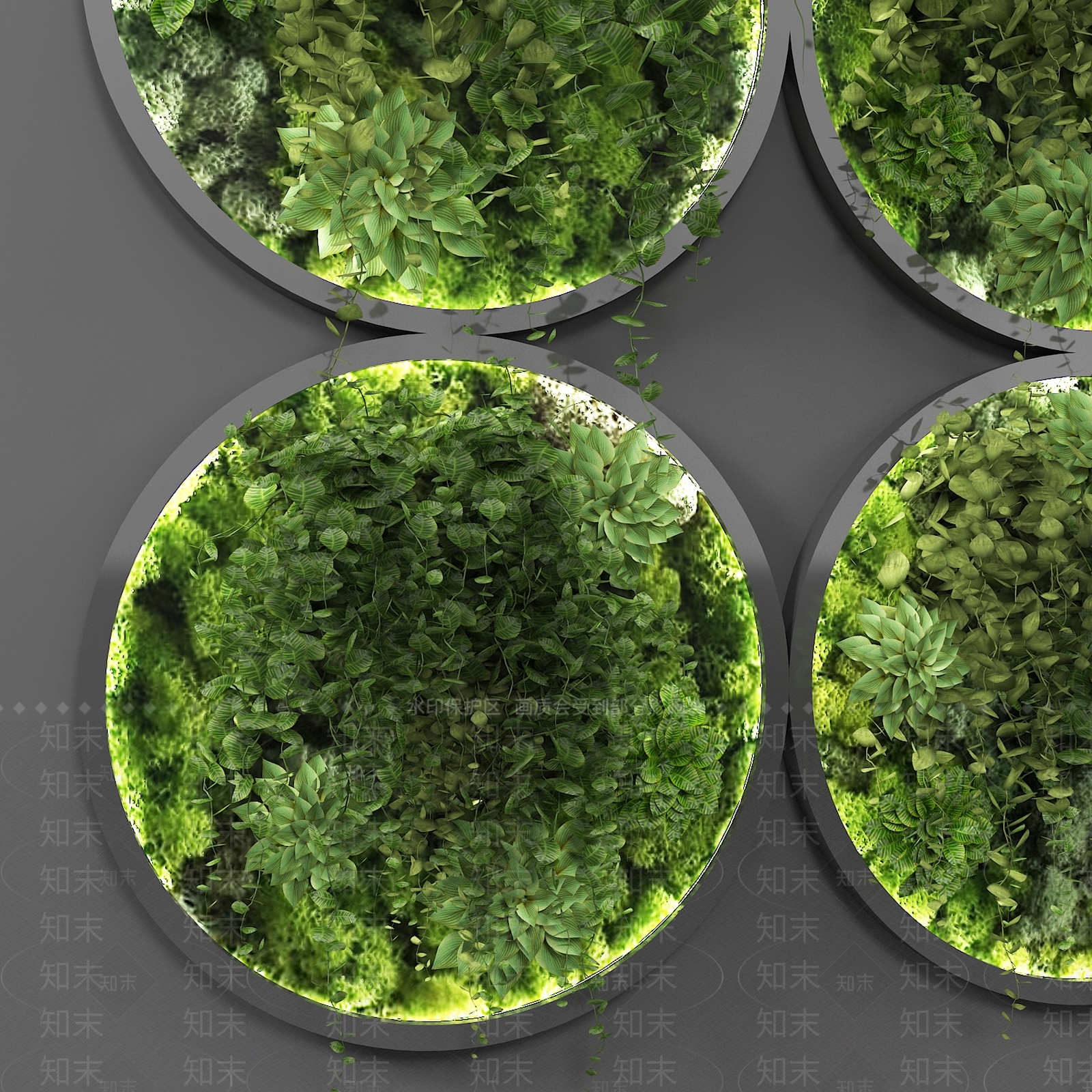 现代植物墙3D模型下载【ID:1104578764】