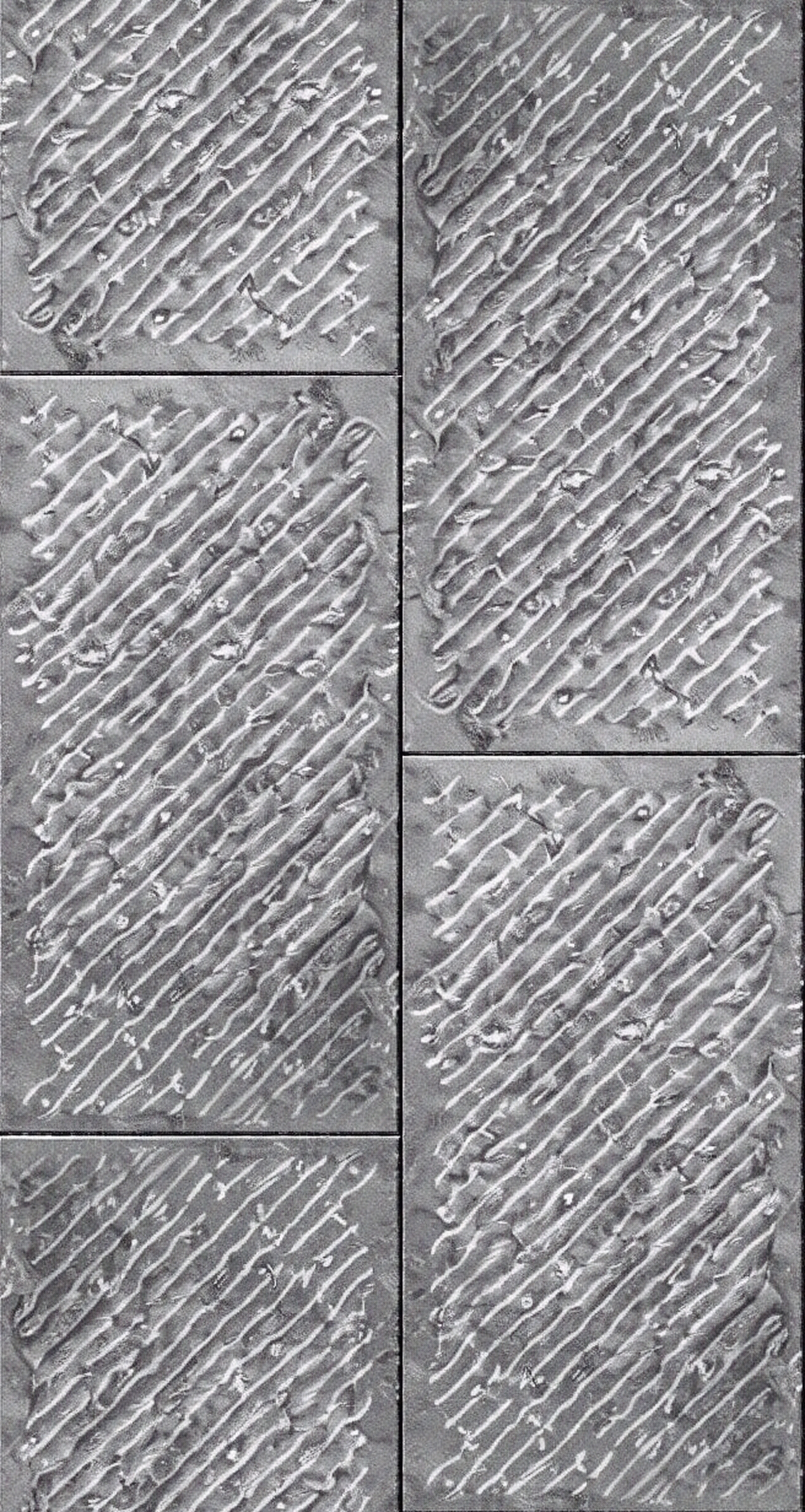 长条错铺装贴图下载【ID:1195349549】