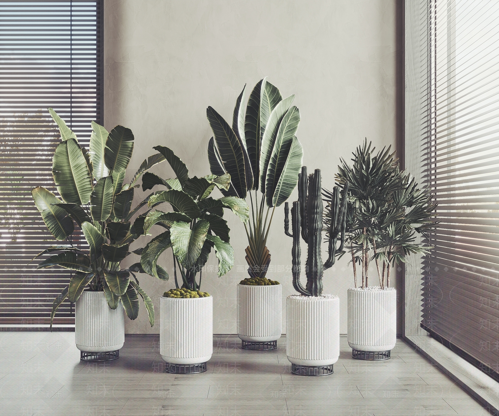 现代植物盆栽3D模型下载【ID:1104713731】_知末3d模型网