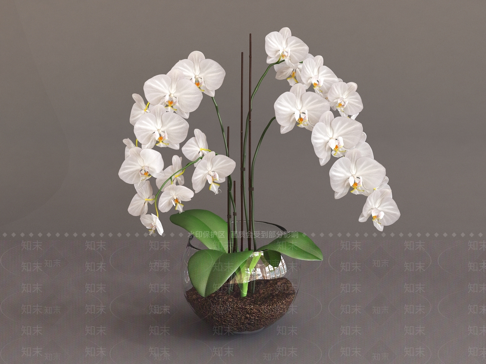 现代兰花3D模型下载【ID:1104739780】_知末3d模型网