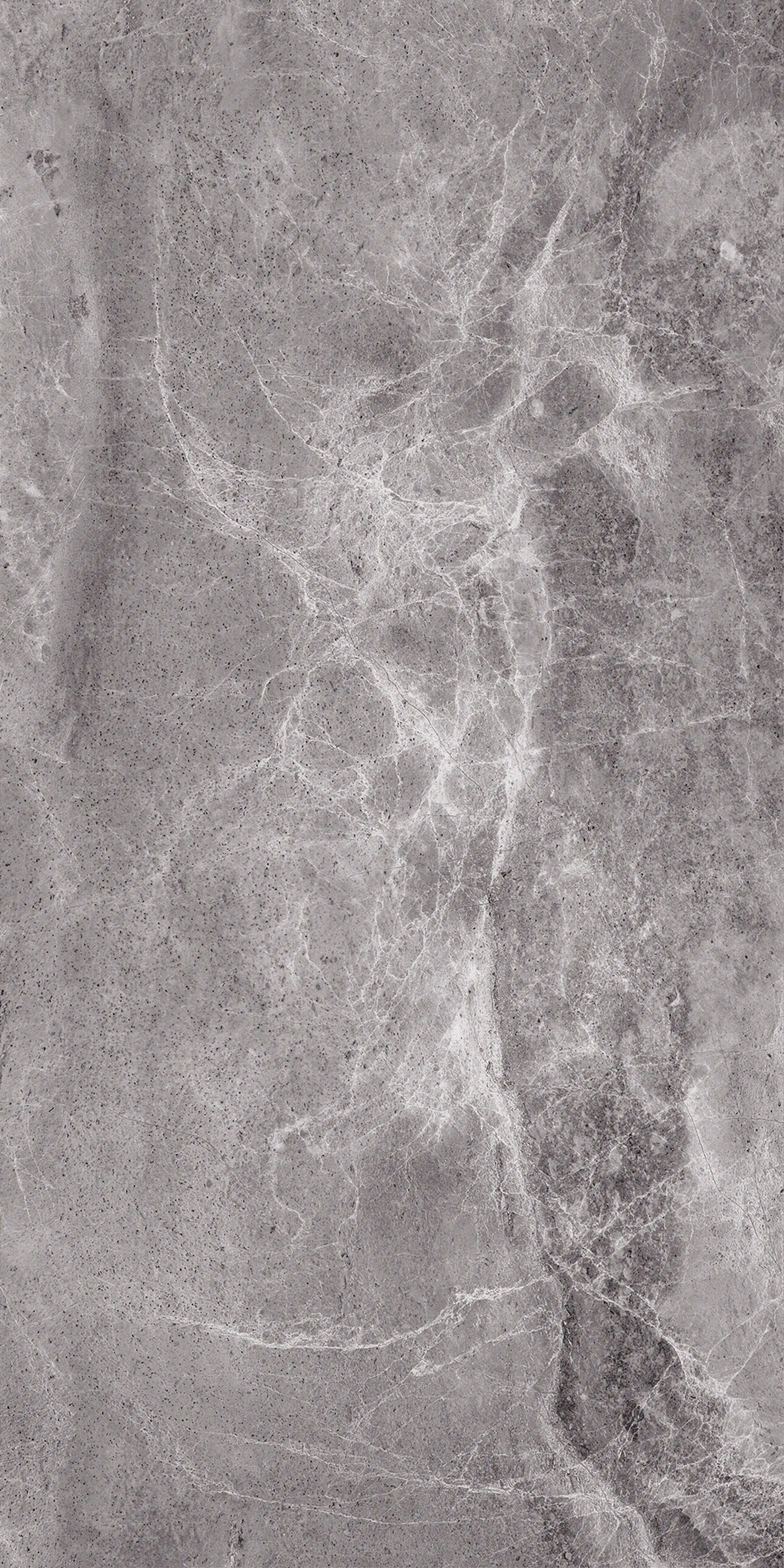 希睿贴图下载【ID:1104776552】