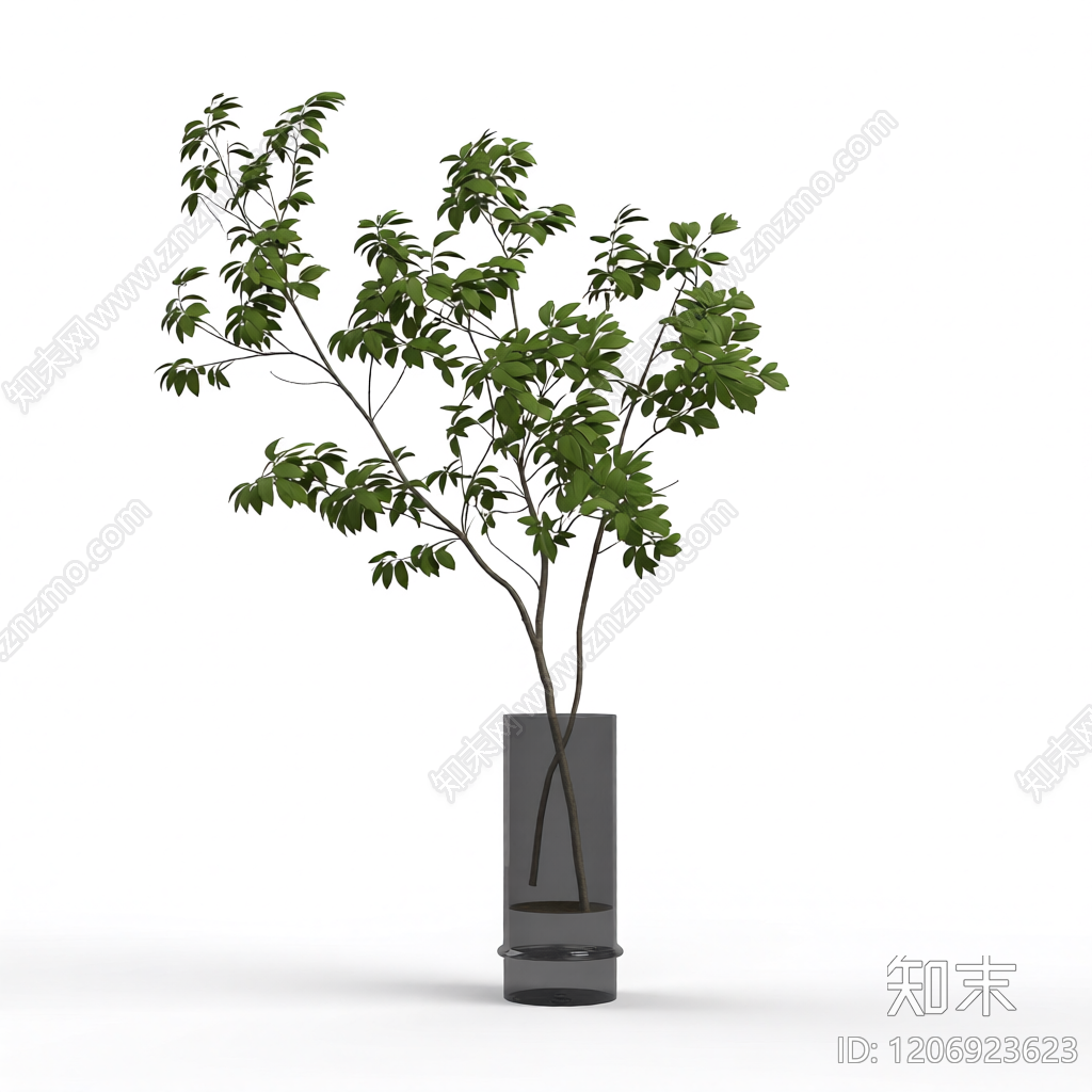盆栽植物装饰3D模型下载【ID:1206923623】