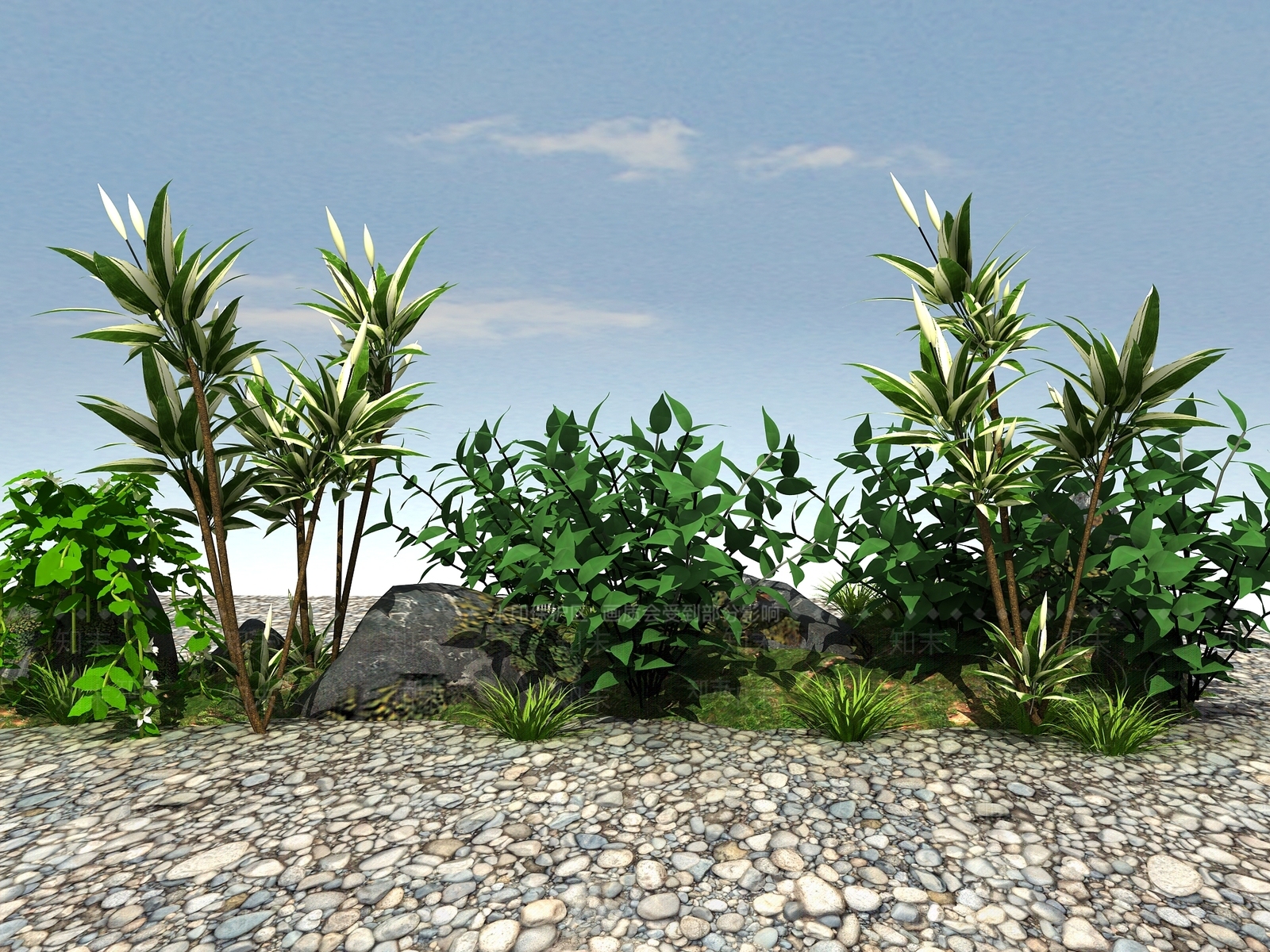 开花植物3D模型下载【ID:1104785760】