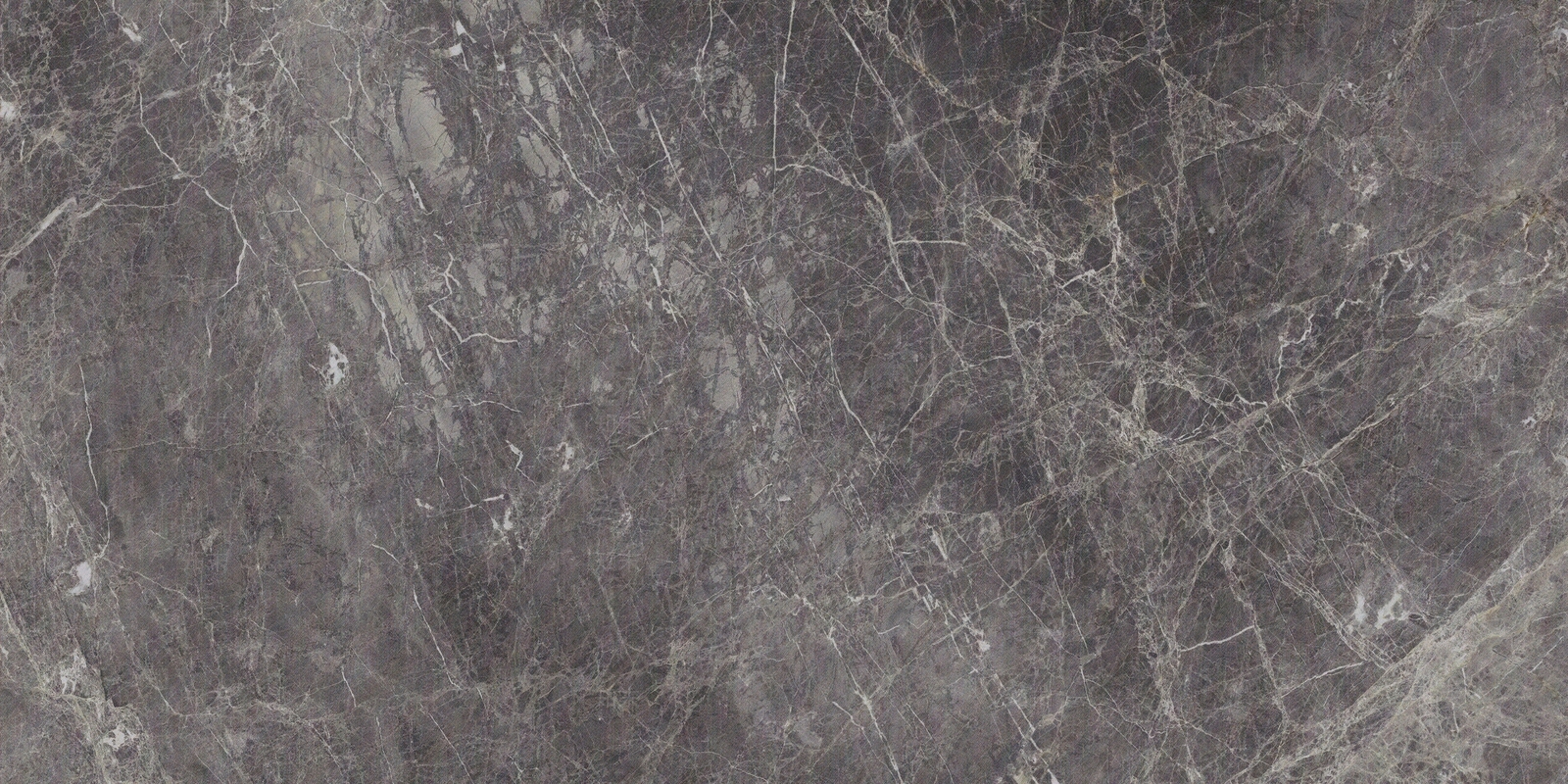 希睿贴图下载【ID:1104812538】