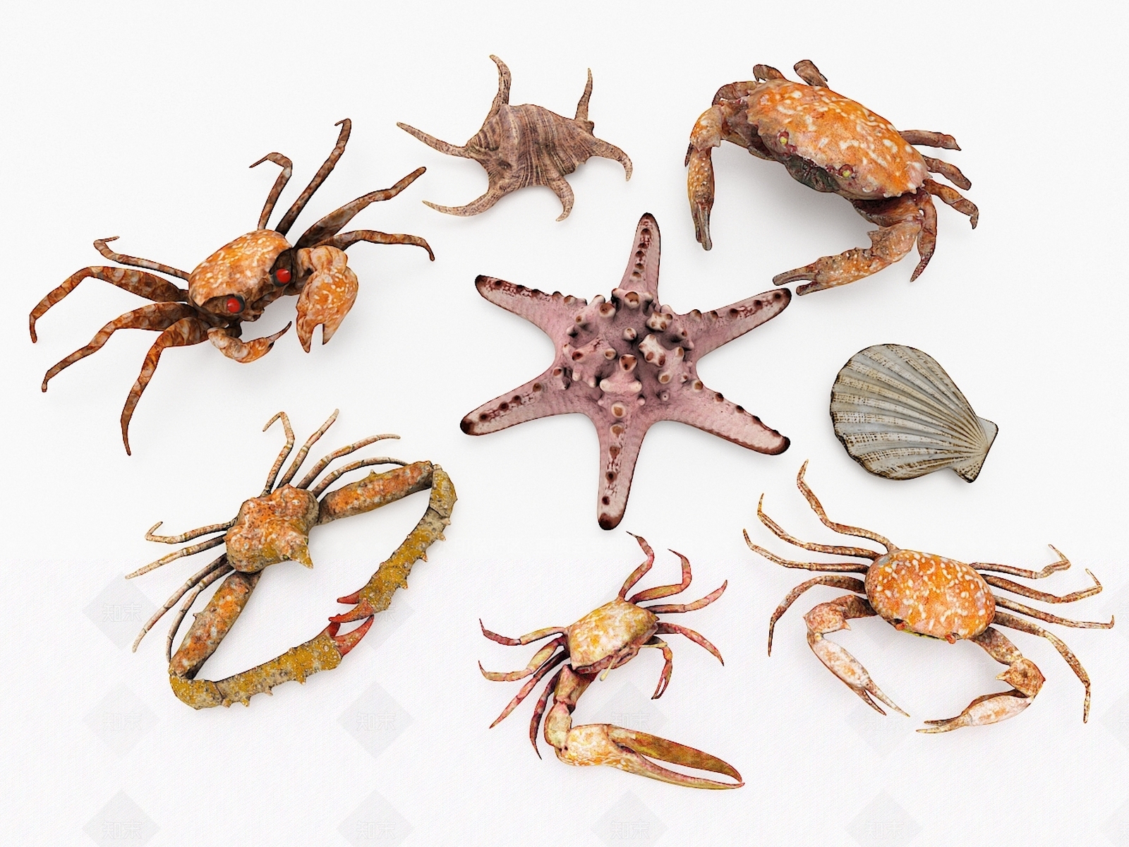 现代螃蟹3D模型下载【ID:1104841388】