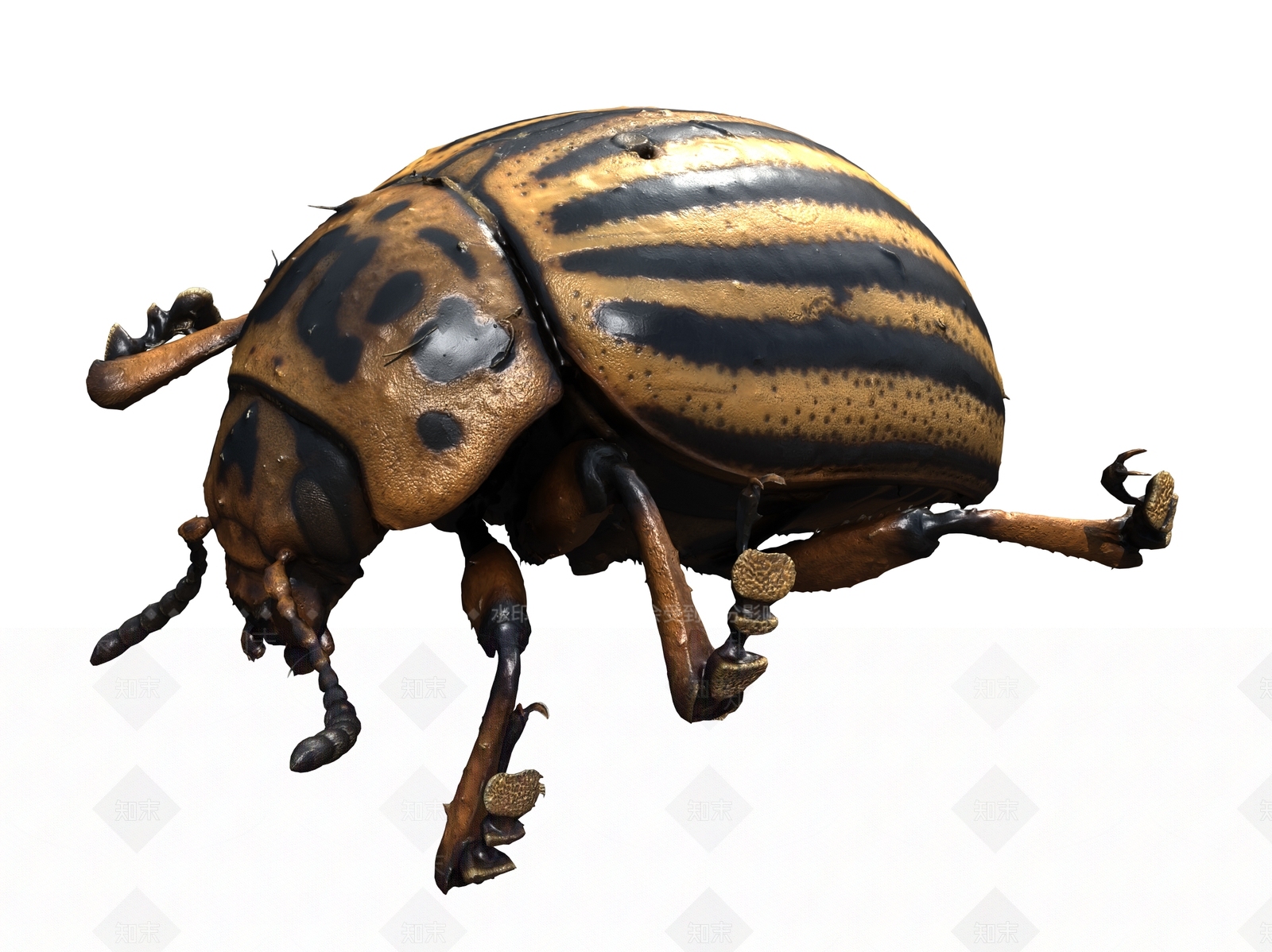 新中式爬虫3D模型下载【ID:1104915479】