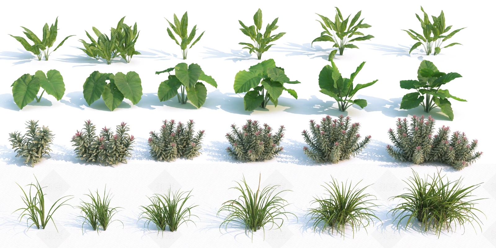 现代花草组合3D模型下载【ID:1105014653】