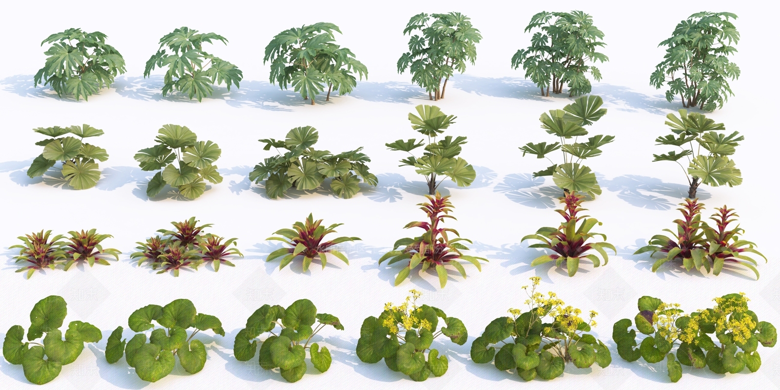 现代花草组合3D模型下载【ID:1105018660】