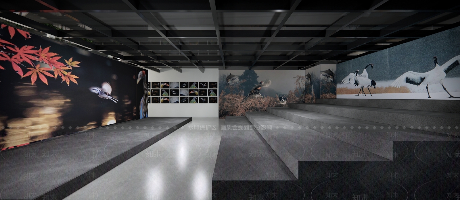 现代鸟类邮票展厅SU模型下载【ID:1105258115】